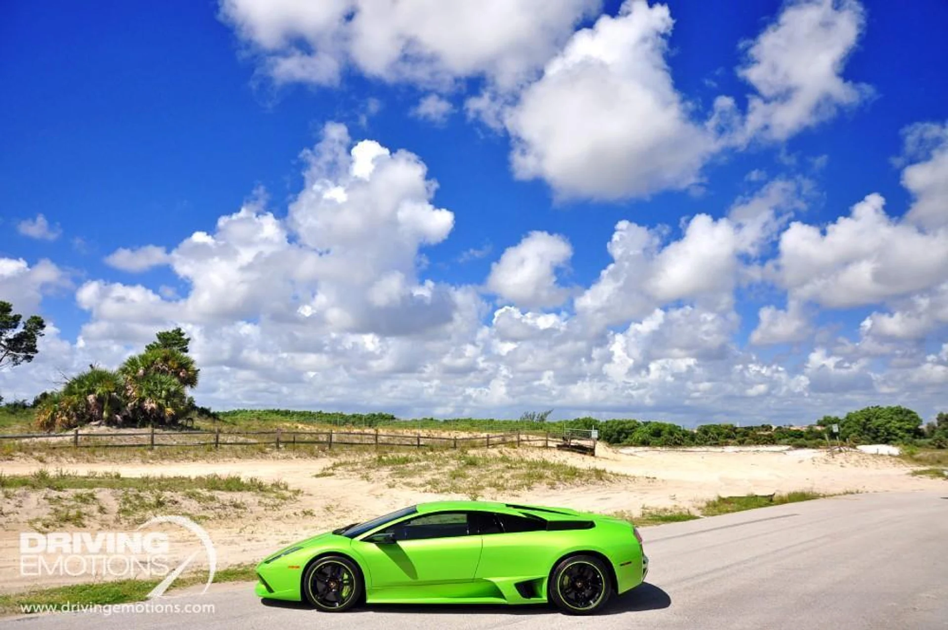 mph029_512741868_15_p30_l_ae5e6f59c5