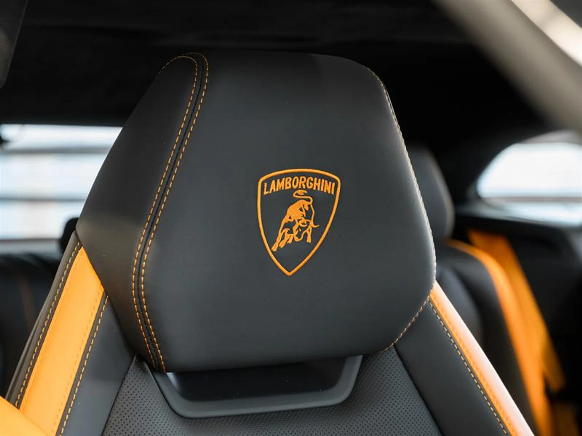 mph029_726114420_11809803_1612863685_85bf75e73d