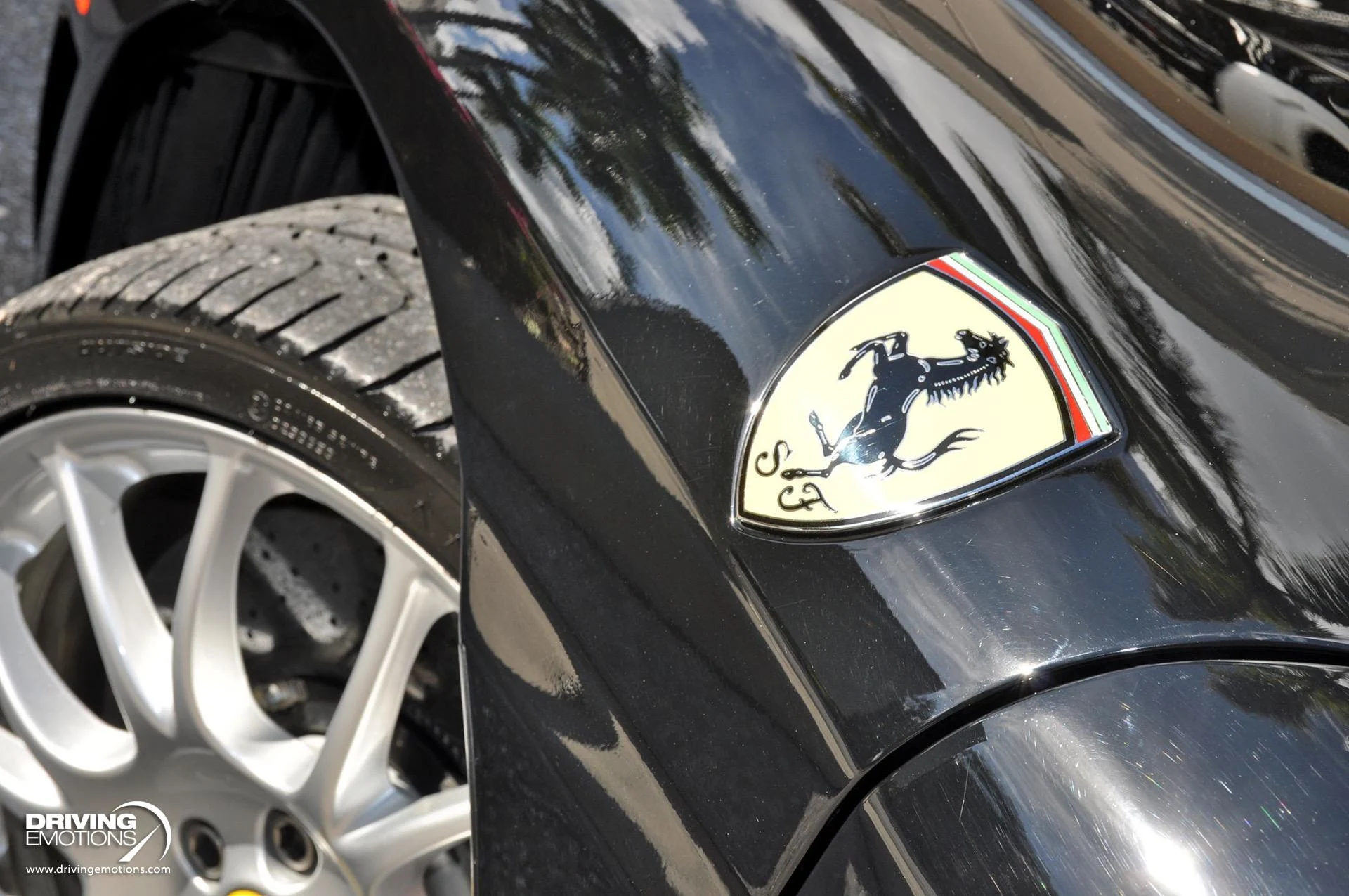 mph029_784088749_885_p30_l_0b7c62f296