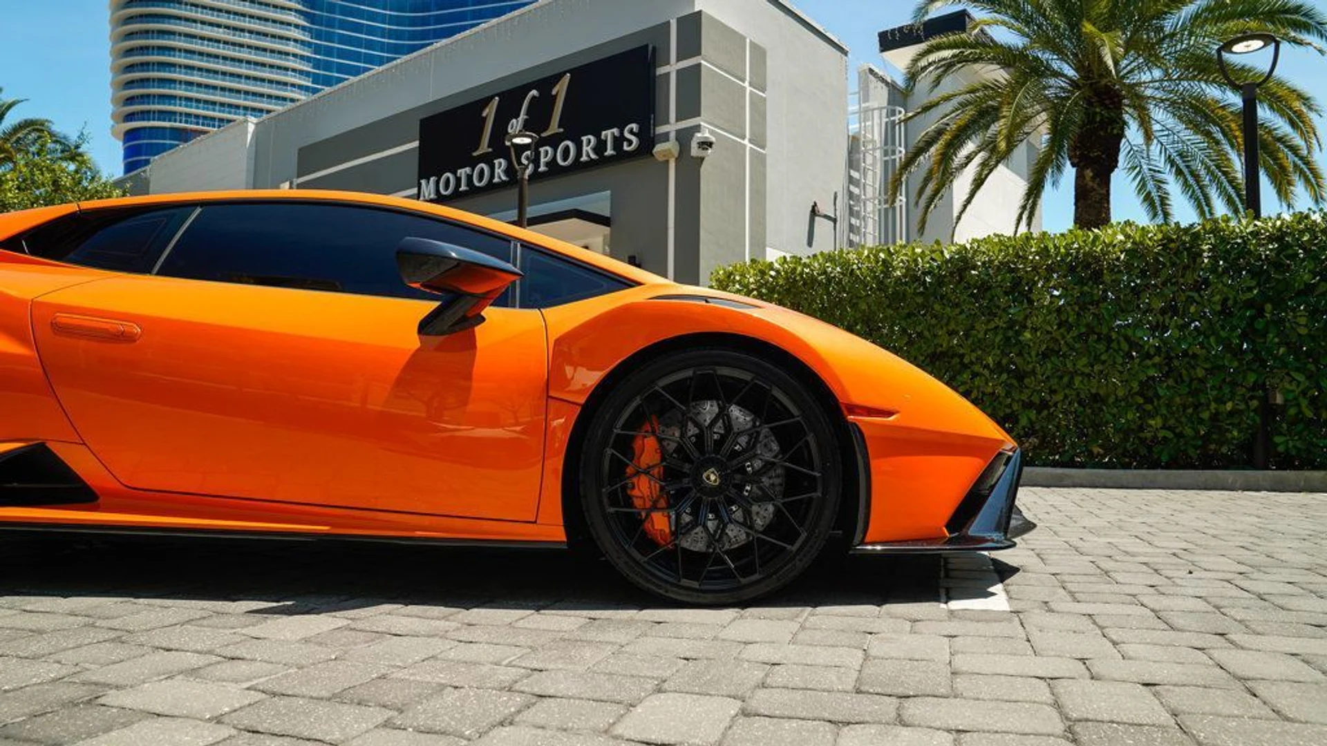 mph029_967499919_22835943_30_1024_d1158e3855