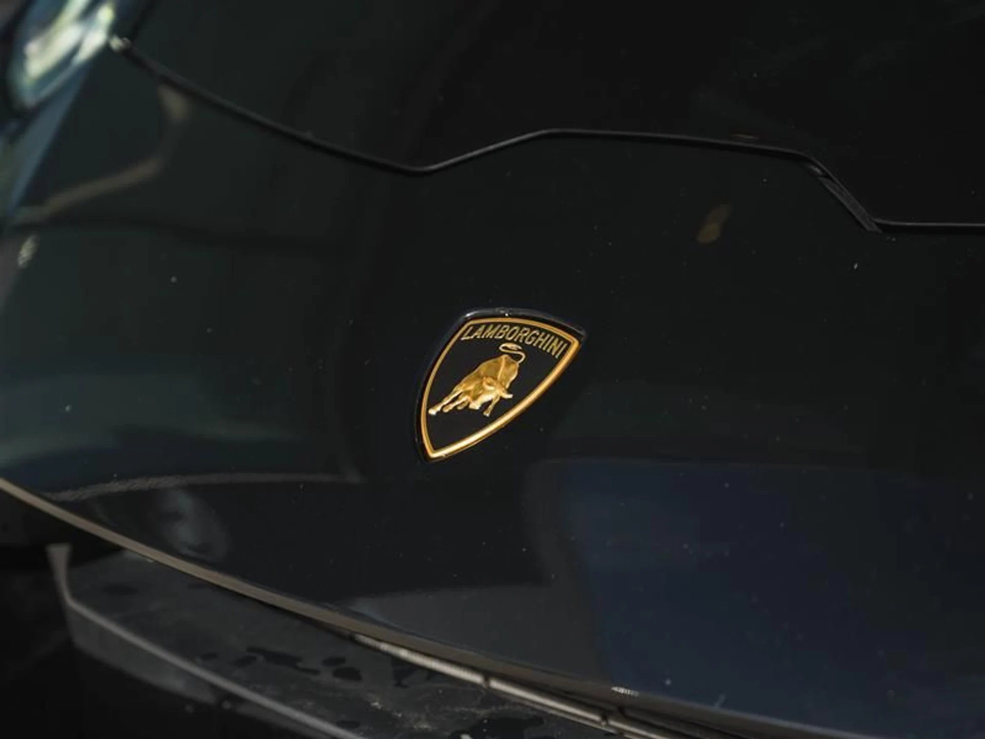 mph030_1019161459_rshxih1d_b8398c270e