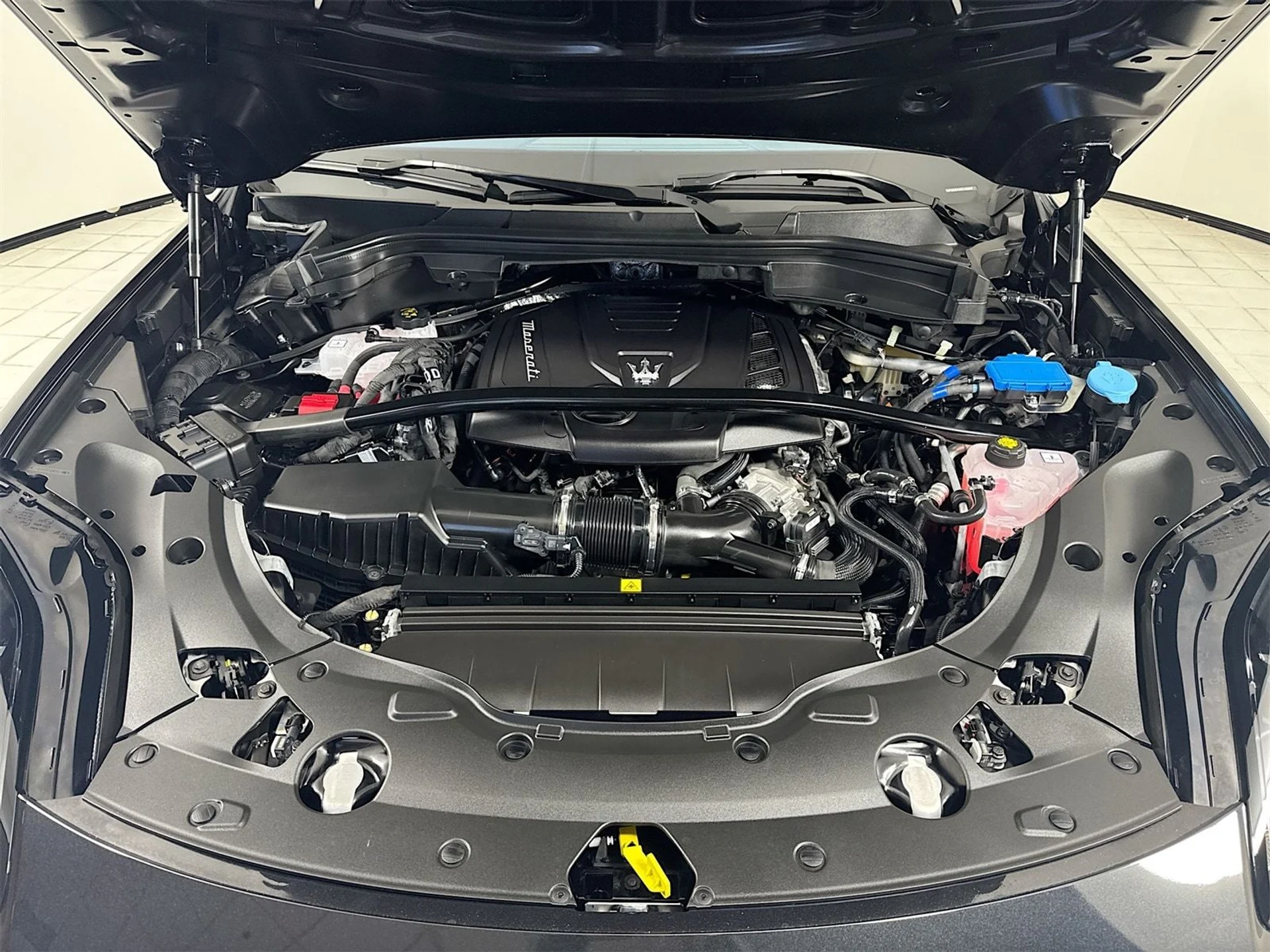 mph030_1140856604_cf246870248d02d7e021a7d42e3d0988x_dfd68bc870