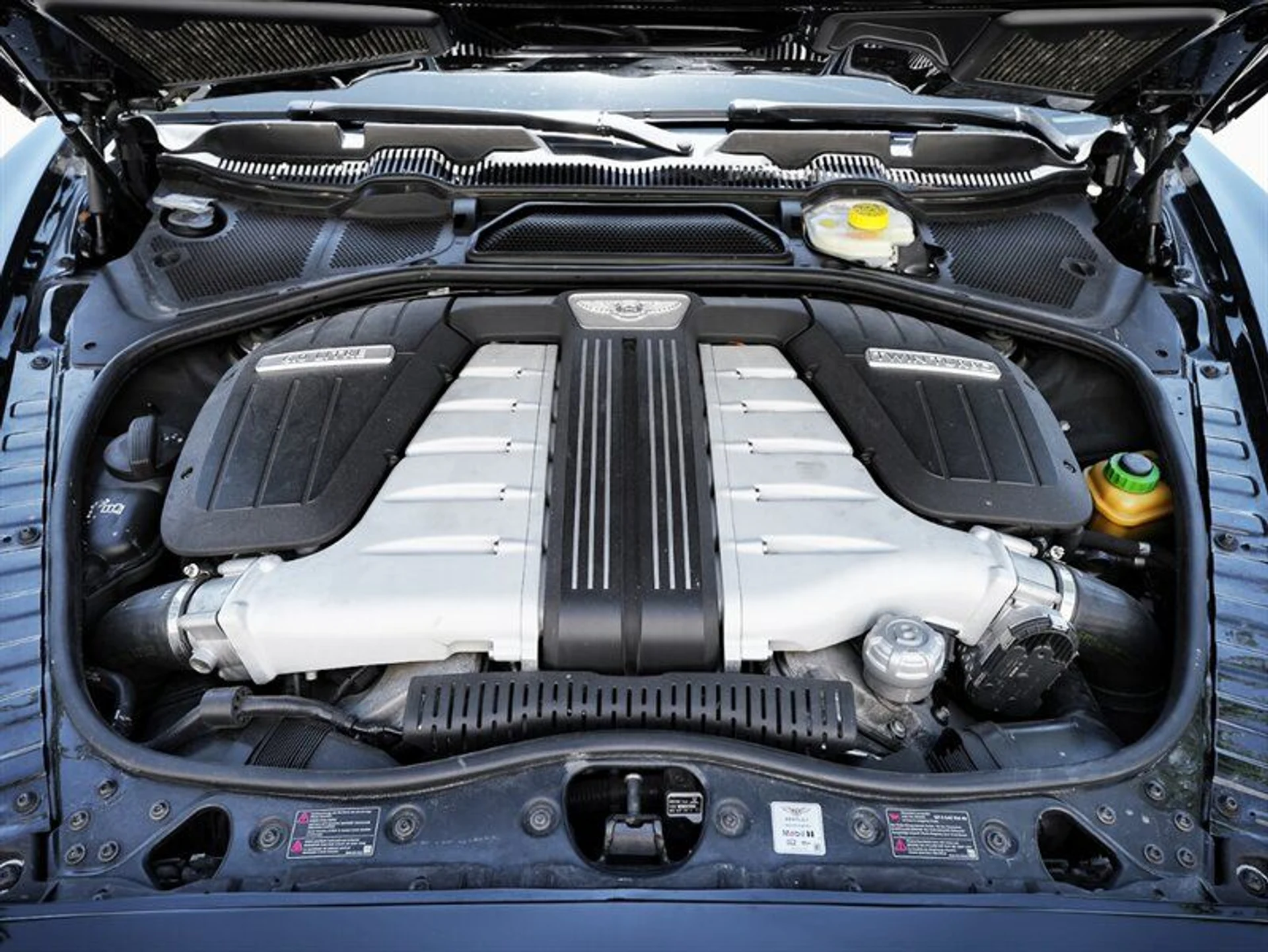 mph030_1261047264_23644bd347_800_9310698536