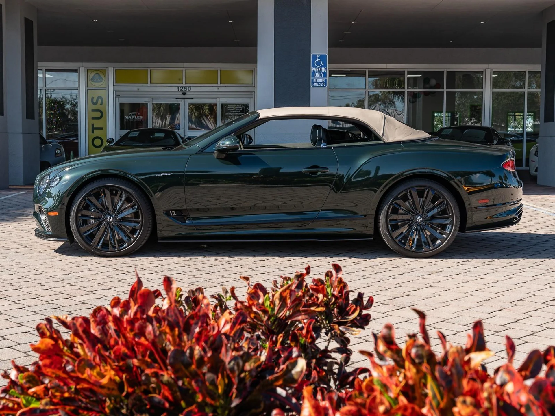 mph030_1505732331_Used_2022_Bentley_Continental_GT_Speed_1766182000_36ce8e44b3