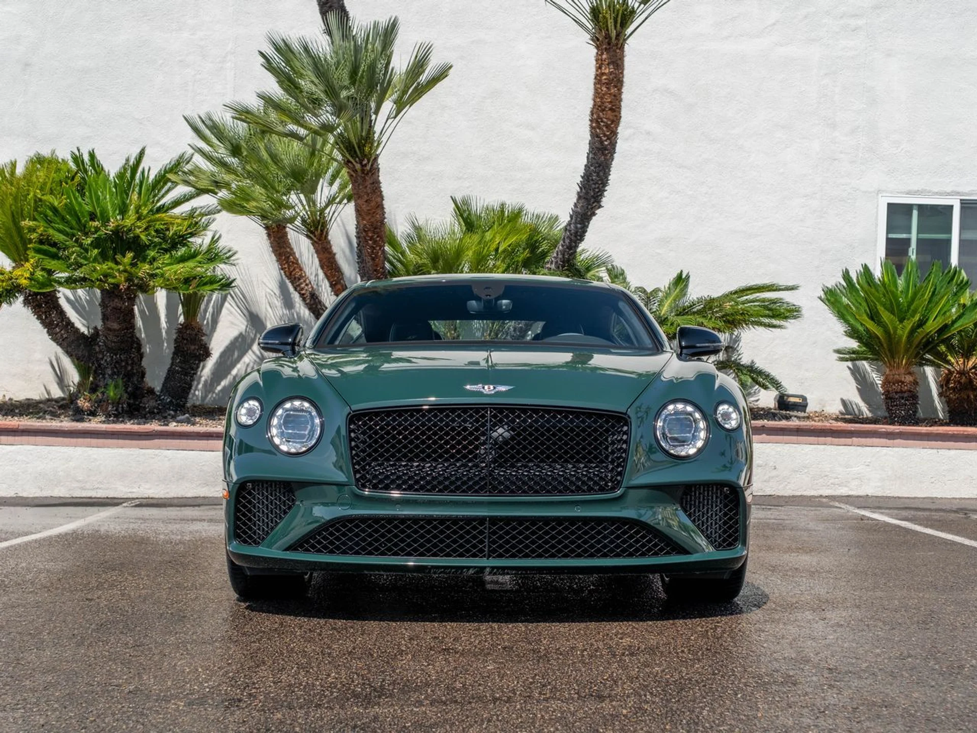 mph030_1691827890_aefae1cf7a9b0bc847eeec9f0640043fx_3add38d5a8