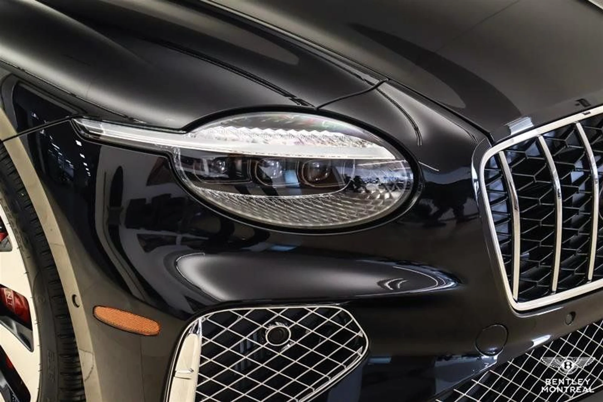 mph030_1888041857_37503925_08821_bmniyy3n_1ac87ad2d6