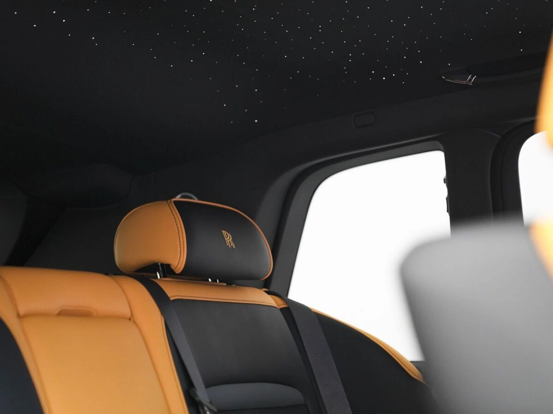 mph030_2086644350_yk99dlzfy6d7oulha0ylzg0g0t8z_0f4b9648de