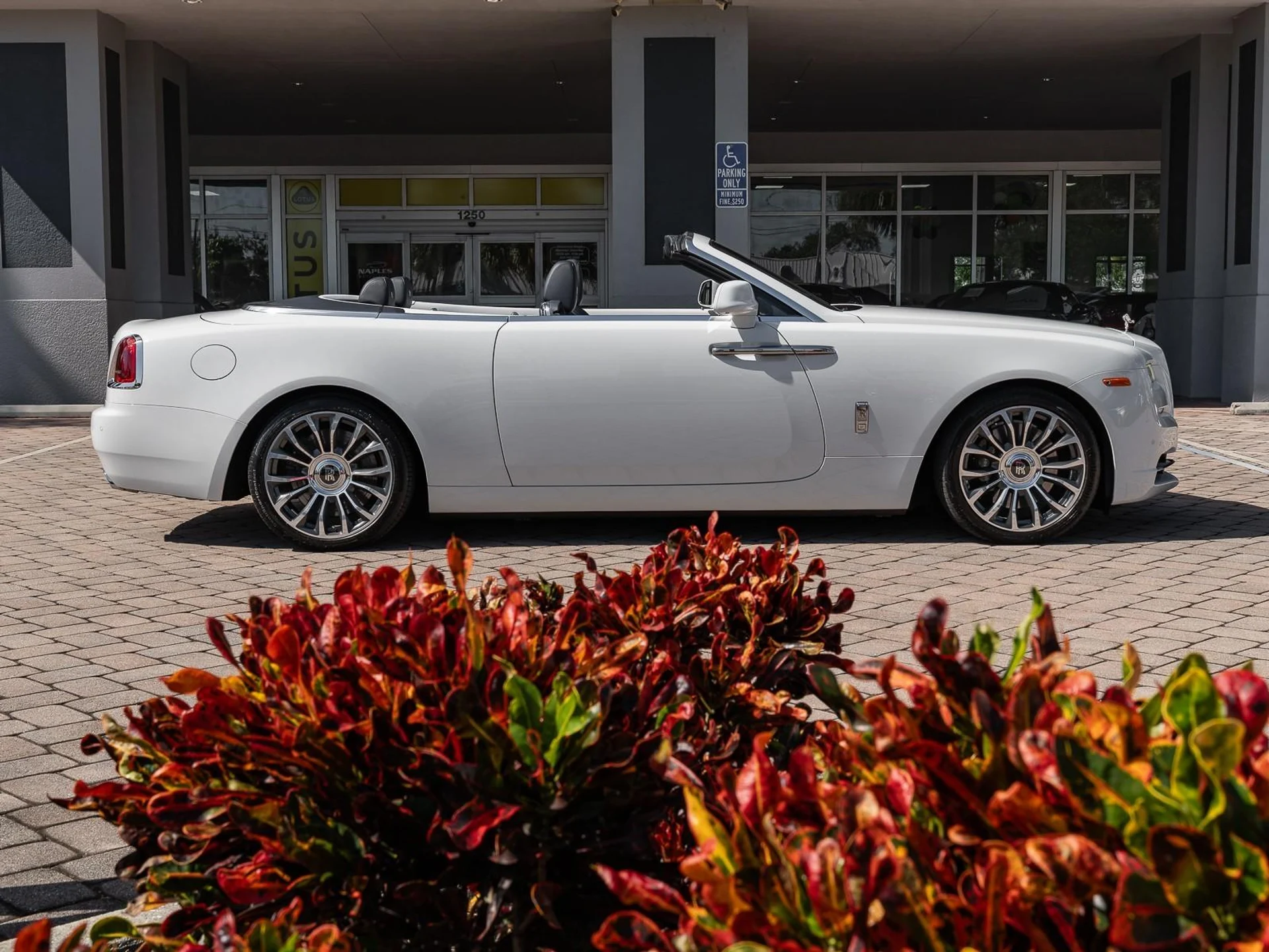 mph030_2095098305_Used_2019_Rolls_Royce_Dawn_1761832871_5cfa50d5ba