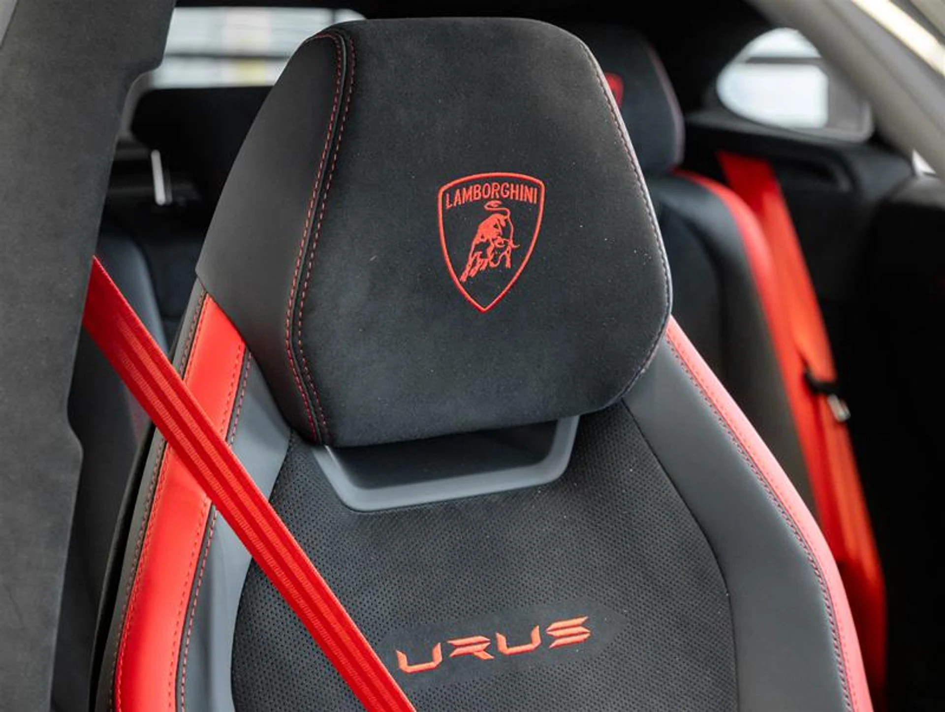 mph030_2181343102_11883416_1645463231_01b8bed827