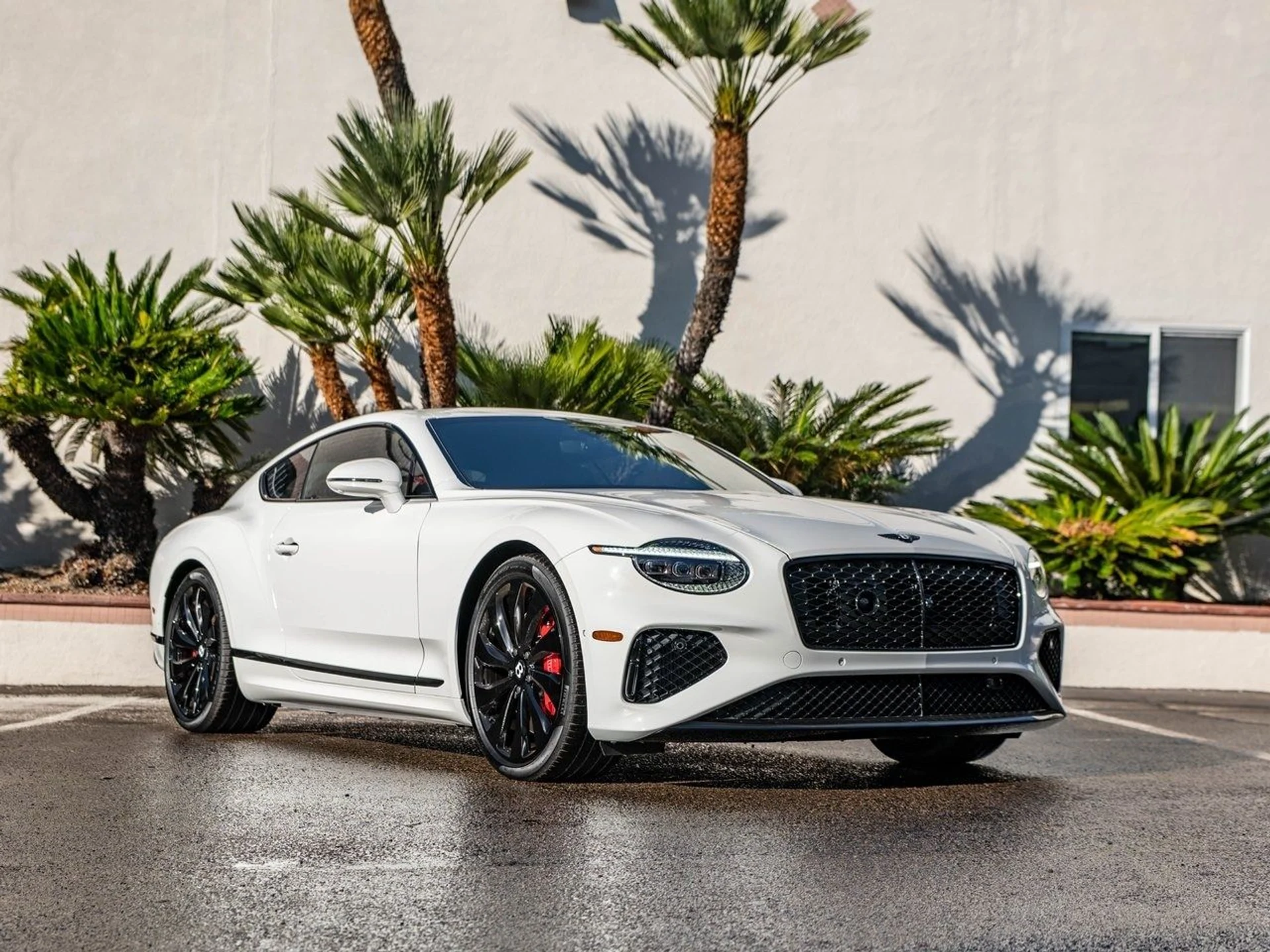 mph030_2188611986_51dd6b26c0e83feab3d94321c857878ex_ce4d06a9c6