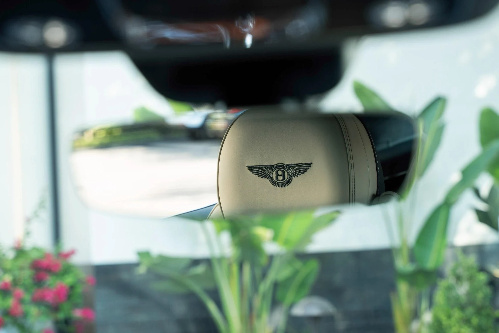 mph030_2310643241_458241674_68f1ceabe713d56106ff1d14_662175e485