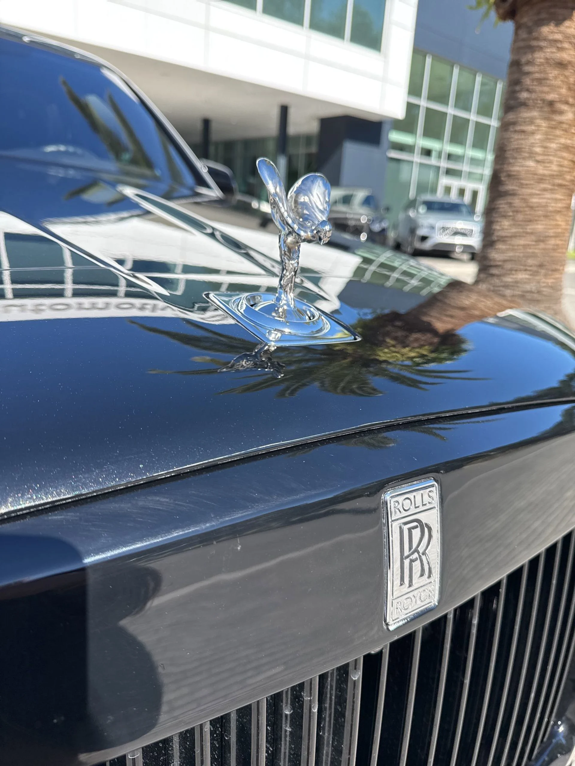 mph030_2575862712_74b2da13edef42a1b0ab8c0f5d2974eb_17de1b5802