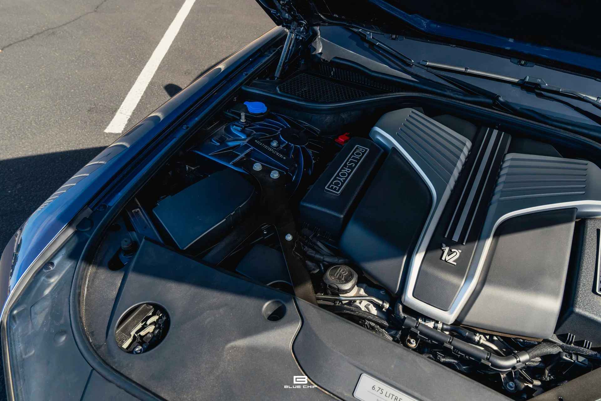 mph030_2663090018_688b809e747479faa9b7ec4a_DSC_09459_18e70b8069