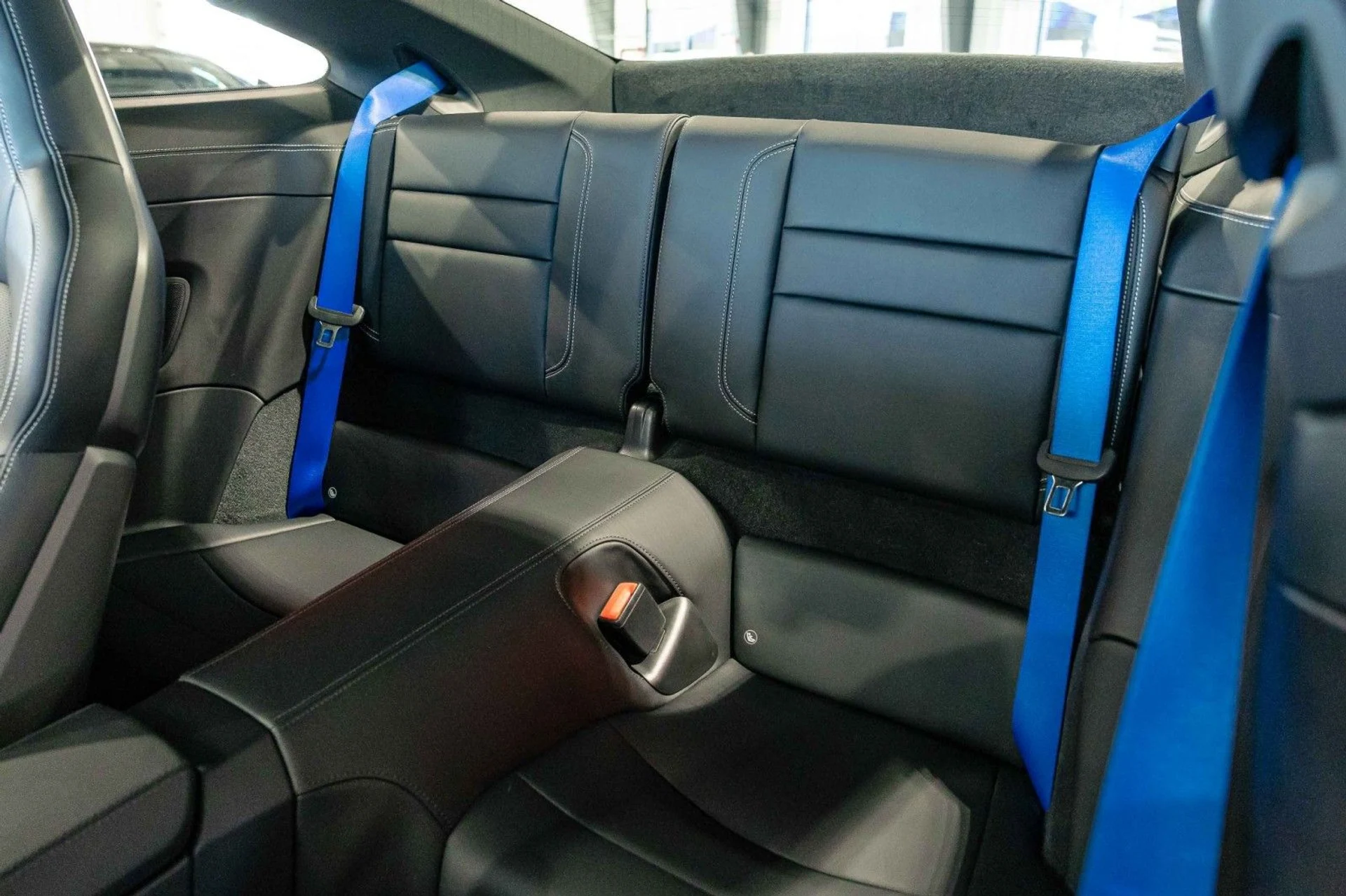 mph030_2717618252_ww_5c625f8a27