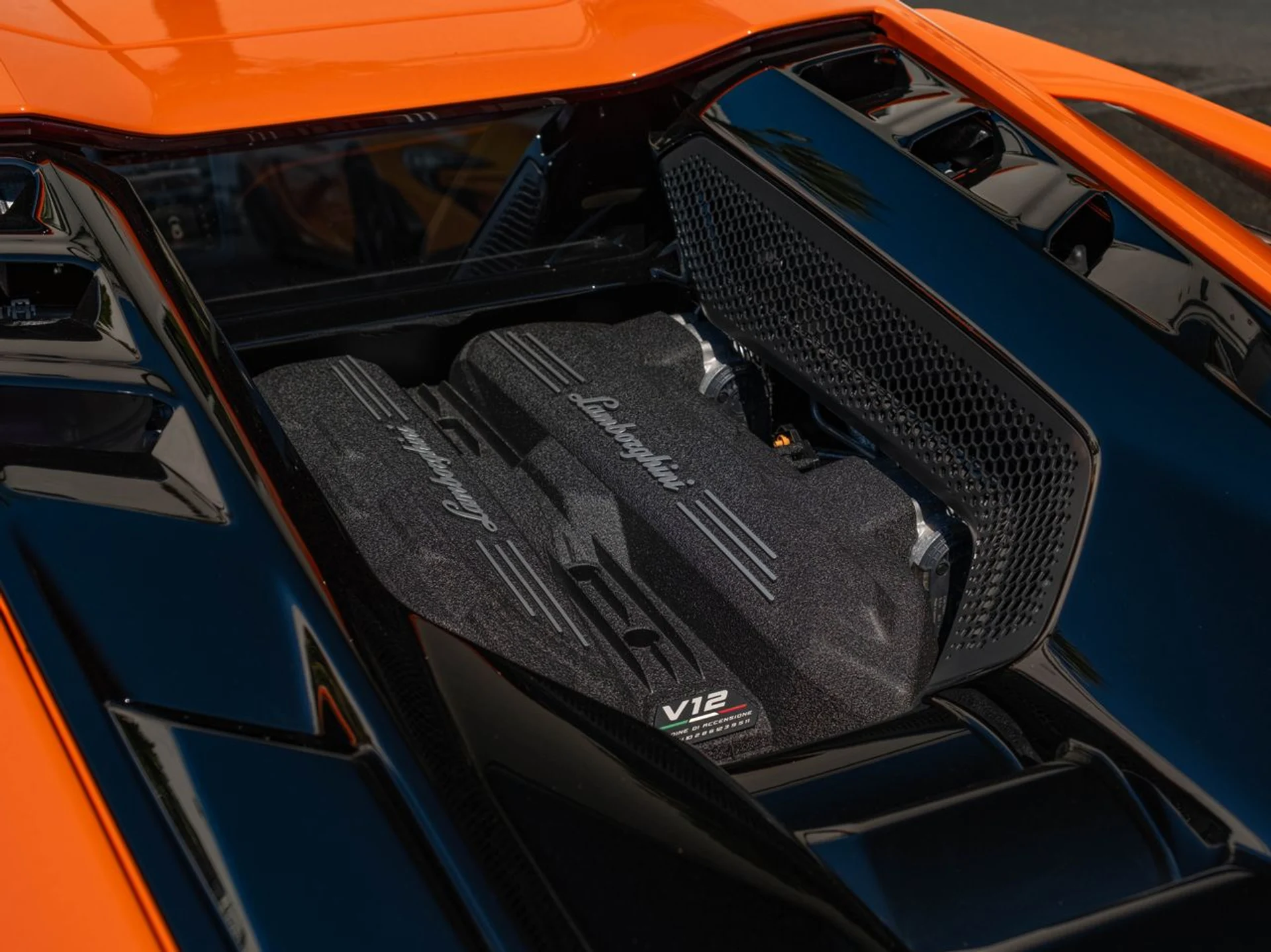 mph030_2743013297_9b3c667dafea859940d055dc78f781e5x_5107646672