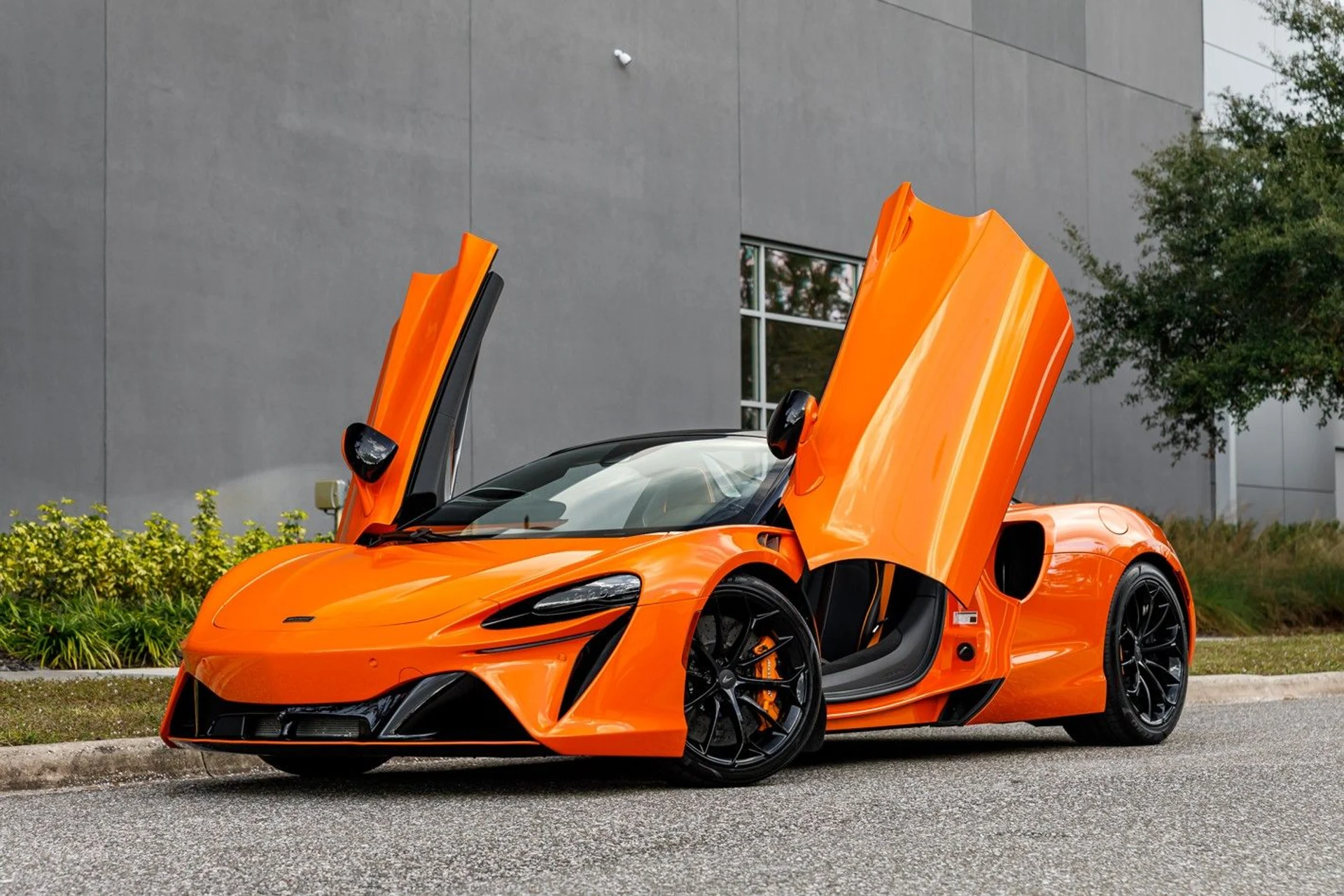 mph030_2765382036_457_p31_l_9d1d86a769