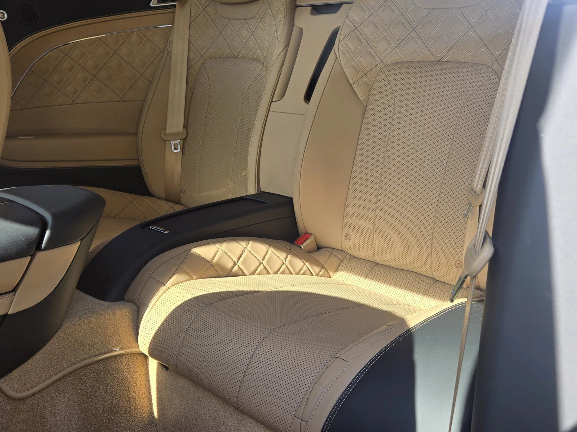 mph030_2834285494_f19d7a18949b81cad9e3ccdd0ffa4d95x_04cda51ed5