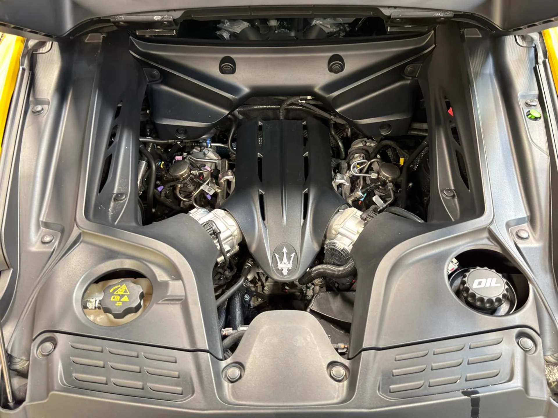 mph030_288024472_639083966335080962_0d1d9ec488