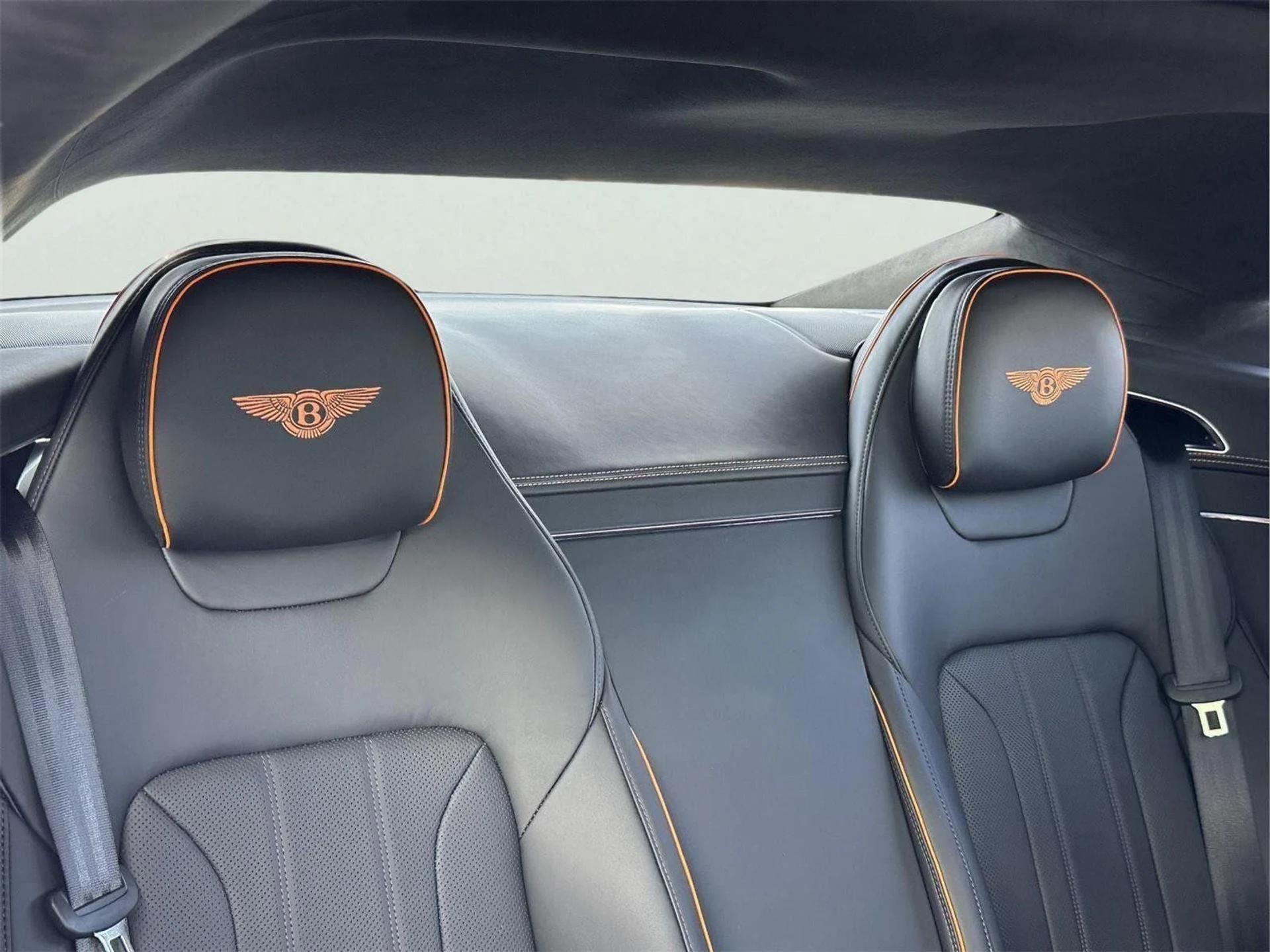 mph030_2918989124_bf626f748f4690a6c4b7d5b17e4d69a0_49a00dc014