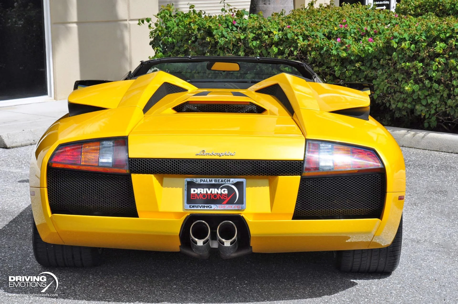 mph030_2926616593_862_p31_l_28a9f1d87e