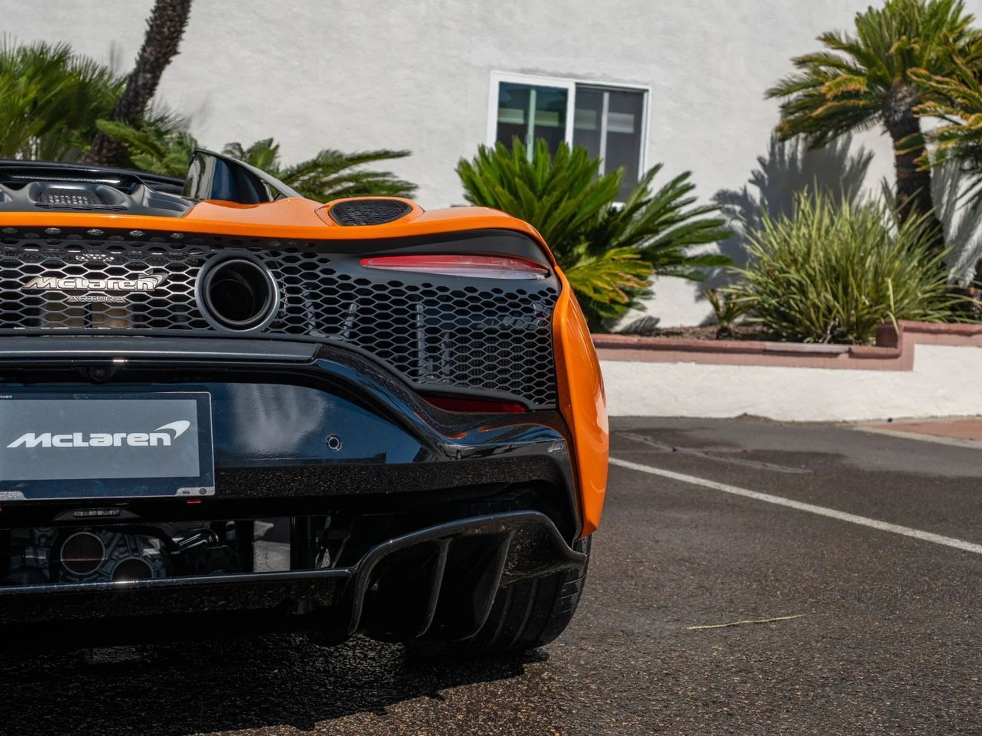 mph030_3099752247_e65fff629480ee40fcd4a067bcae34abx_22b3768d7b