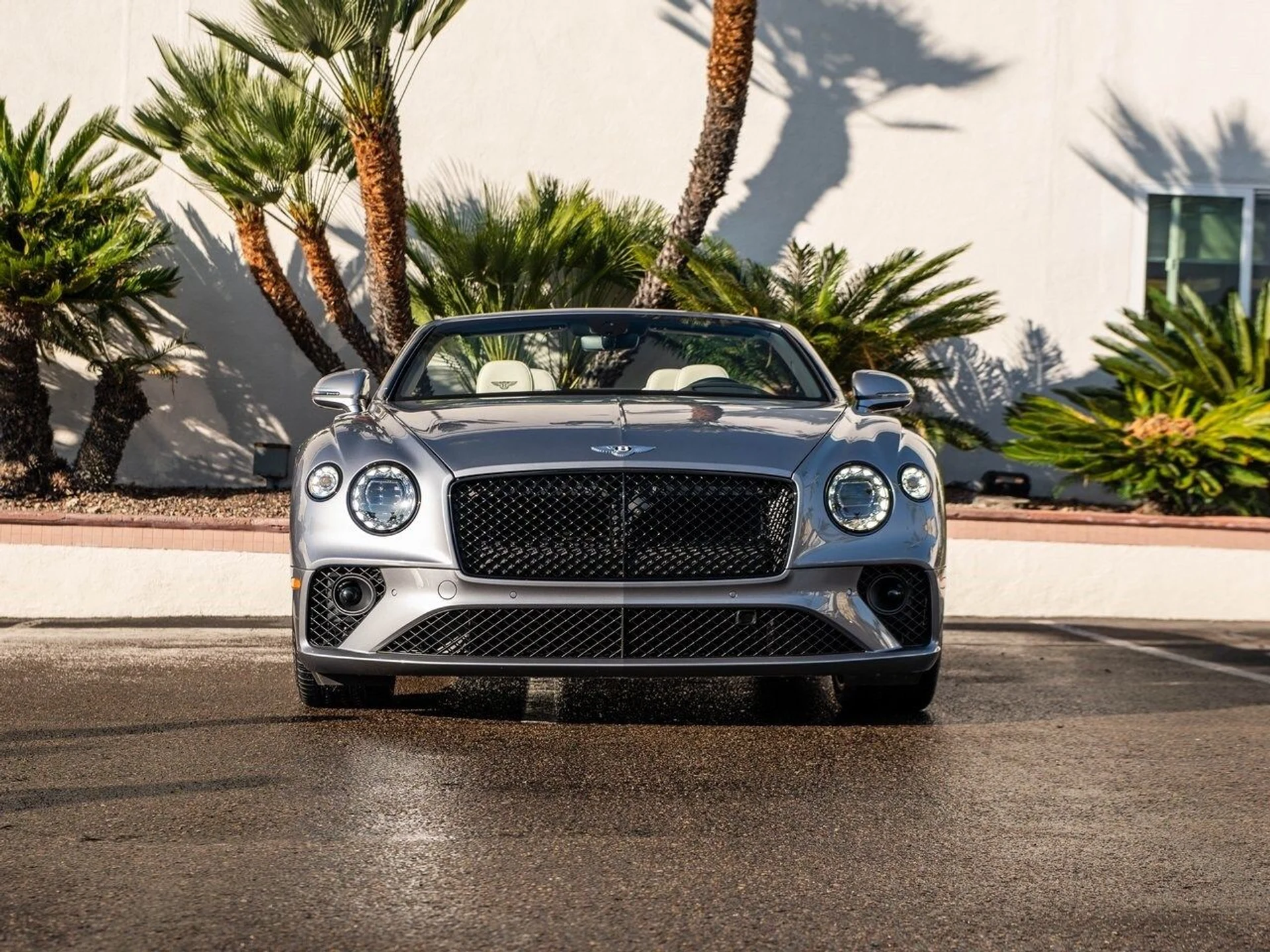 mph030_3406300991_12376756a090c0024d0dda7c54601fb5x_0d2f6479c1