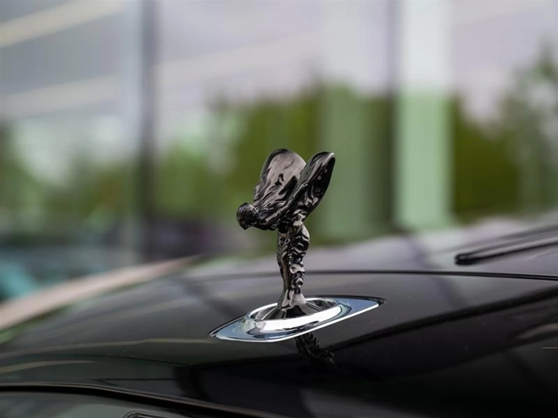 mph030_3441570870_j0vbzhz4_560fd23c46