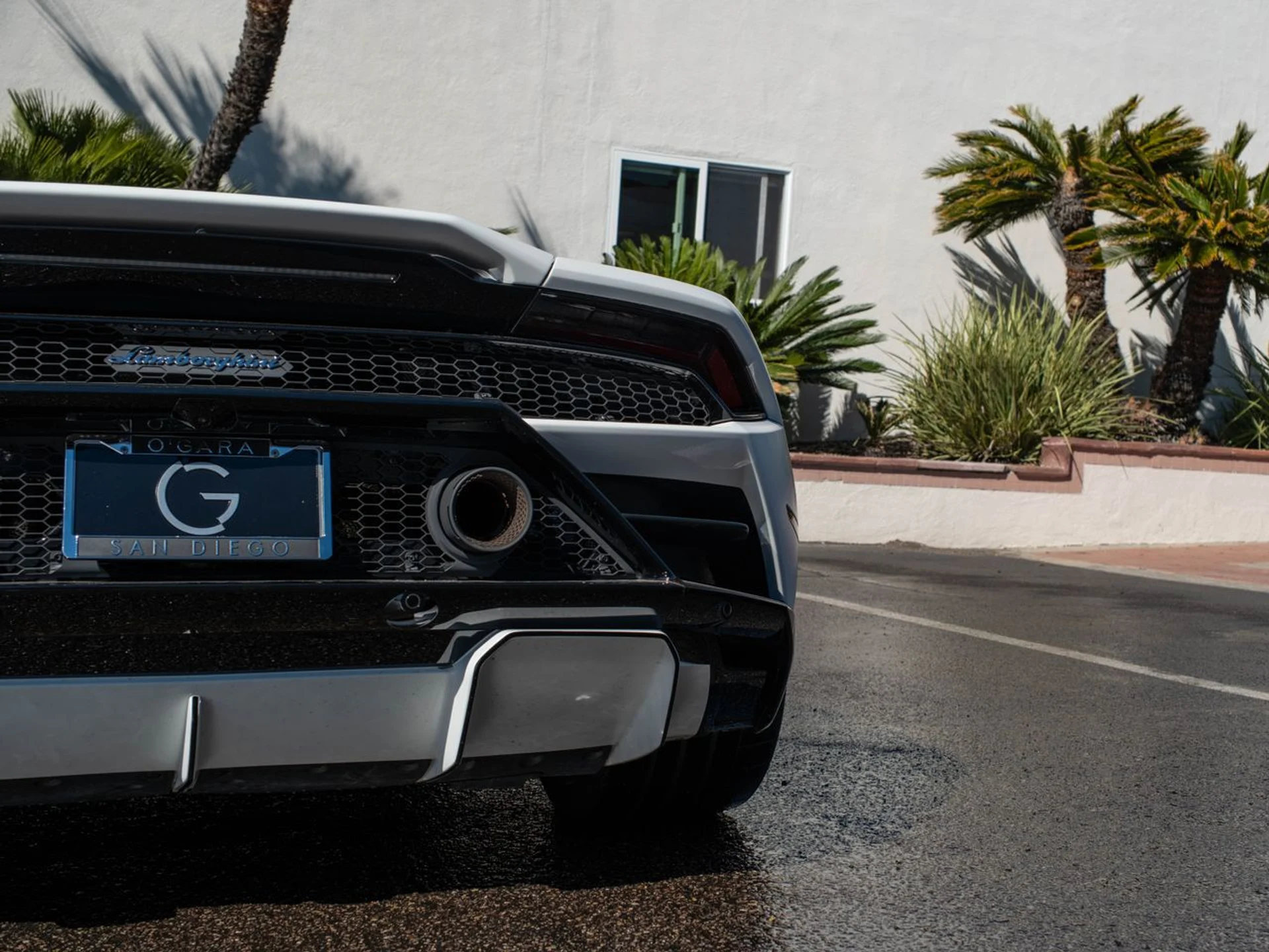 mph030_3448718833_3b2784684df722da732c9c8b98016b6ax_5b50e90830