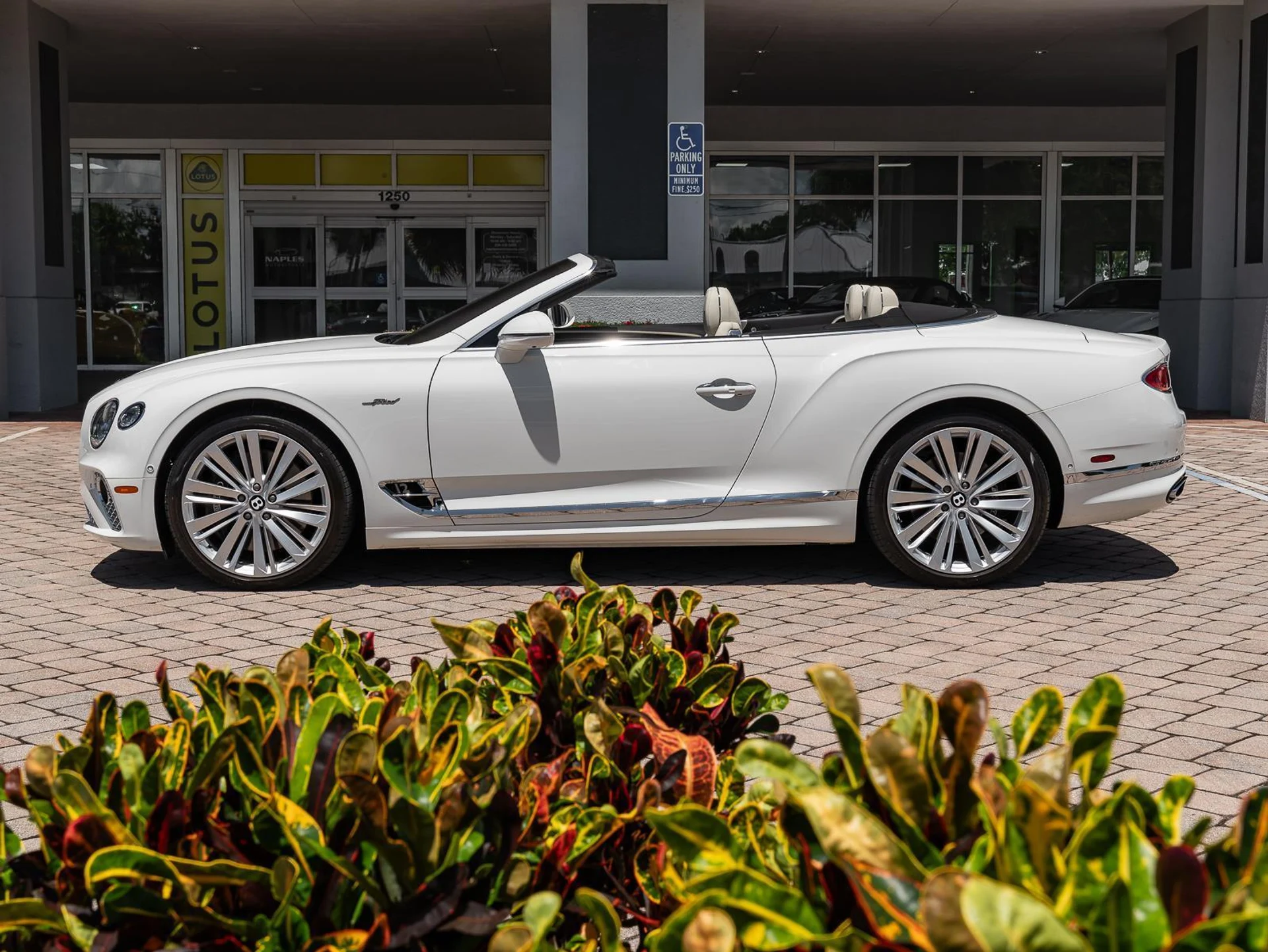 mph030_3626645309_Used_2022_Bentley_Continental_GT_Speed_1780952653_5ed2fbf31d