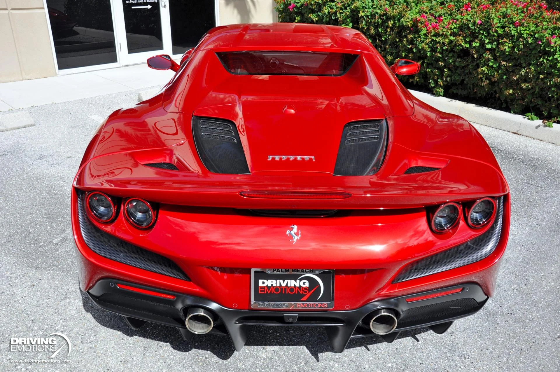 mph030_3769578726_896_p31_l_b710a5da0d