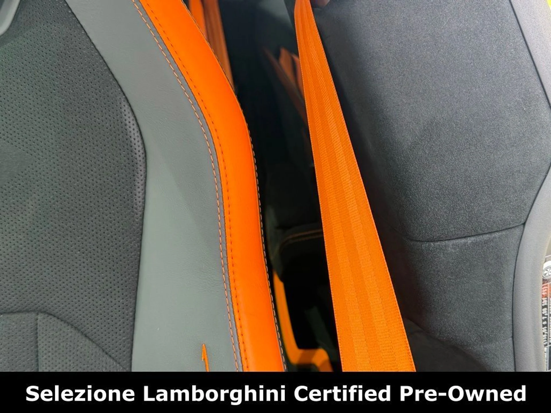 mph030_3799781804_d8beff31d3613ff0a4e34b2f4949bc4fx_29282728a3