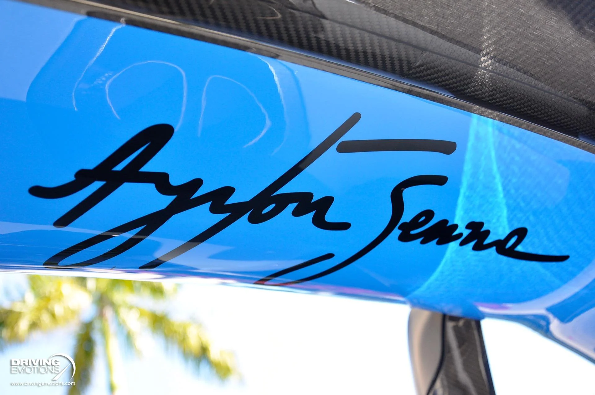 mph030_3897687803_683_p31_l_99bf3434cd