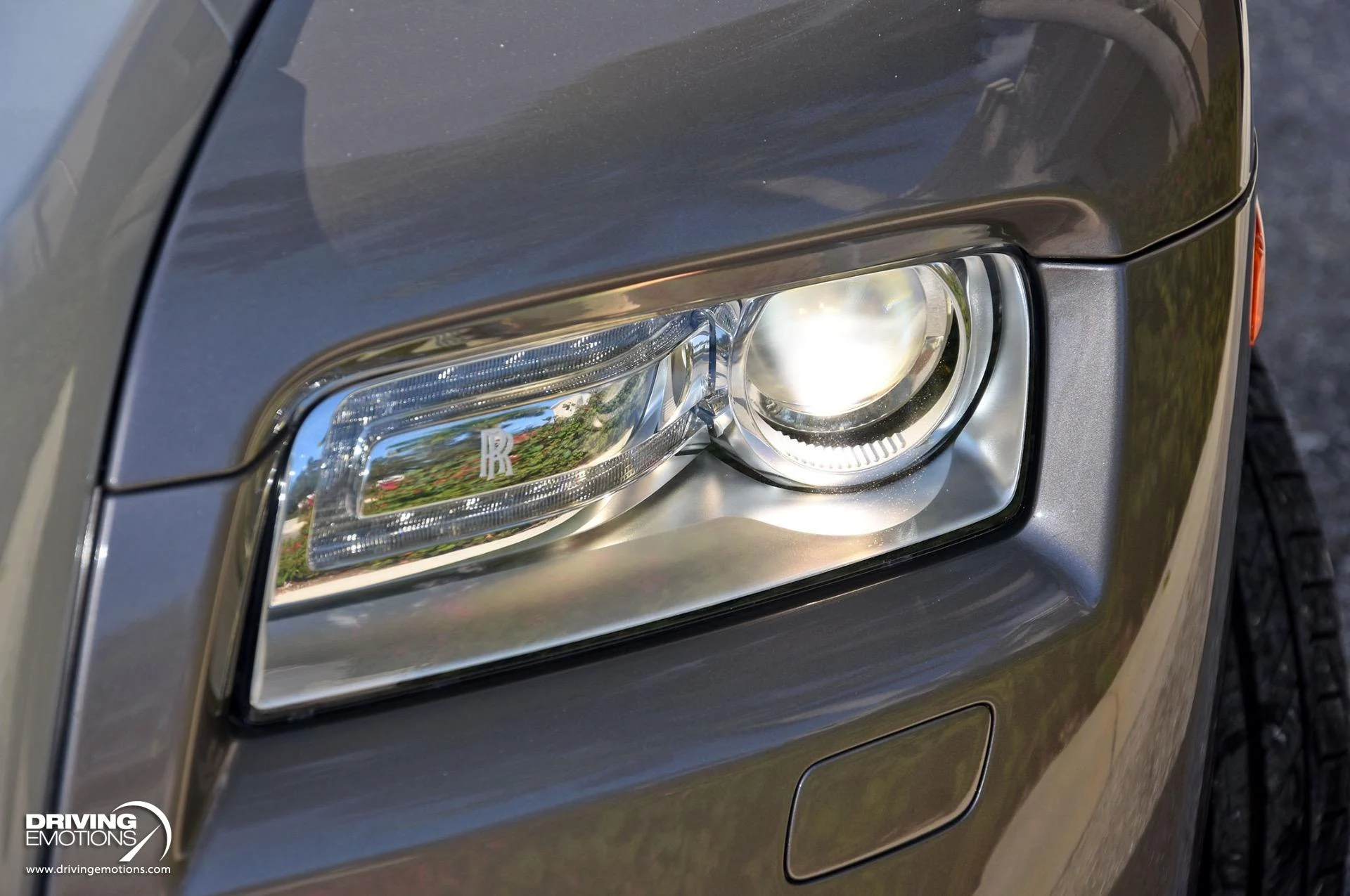 mph030_3945547718_883_p31_l_2f5106c441