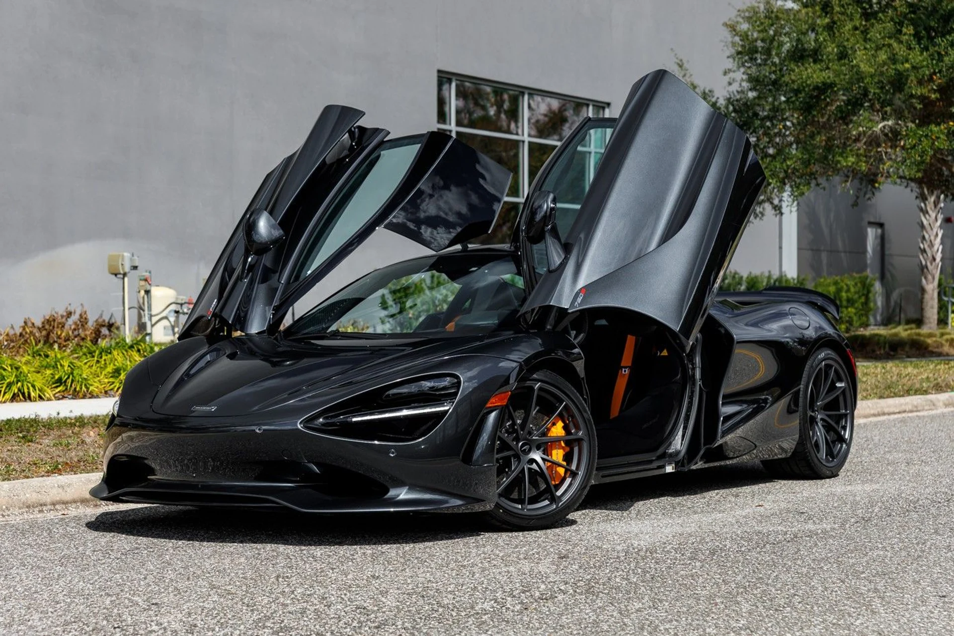 mph030_4049778998_655_p31_l_1982d5a64d