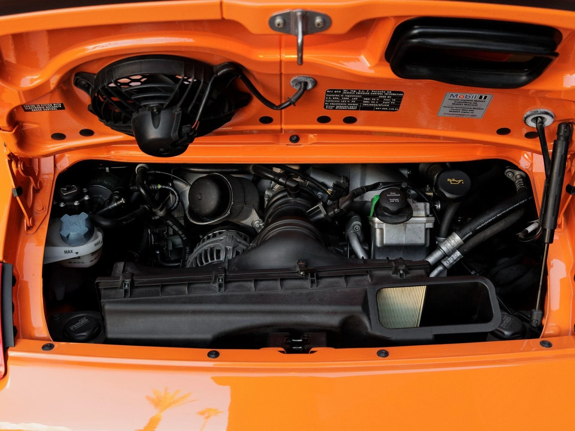 mph030_4073974540_31_61e6ce5049