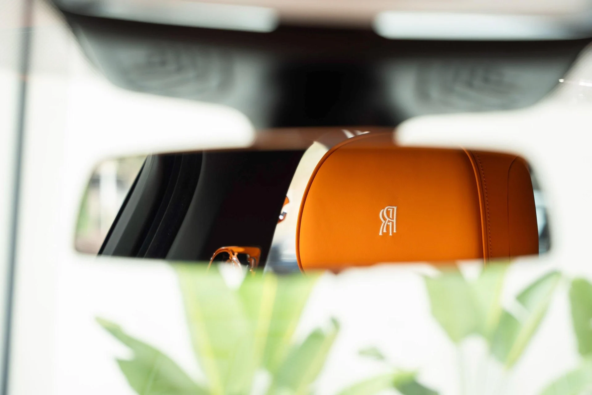 mph030_4085824858_477983144_695f54ef4b0ded1c3975a627_166736c529