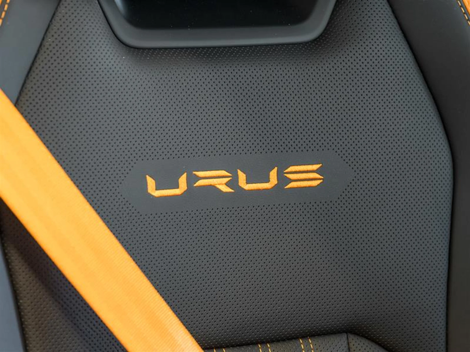 mph030_4108258727_11809803_1612863686_73a91d426b