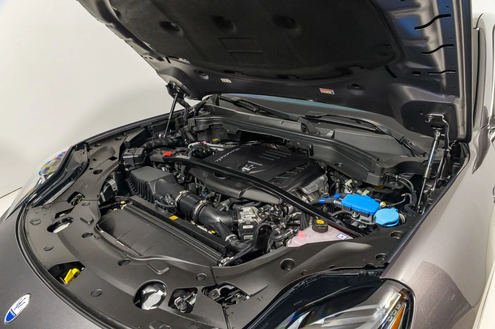 mph030_4154887909_04c4453d8a8d4e9d82070df2e13a594f_17118049d7