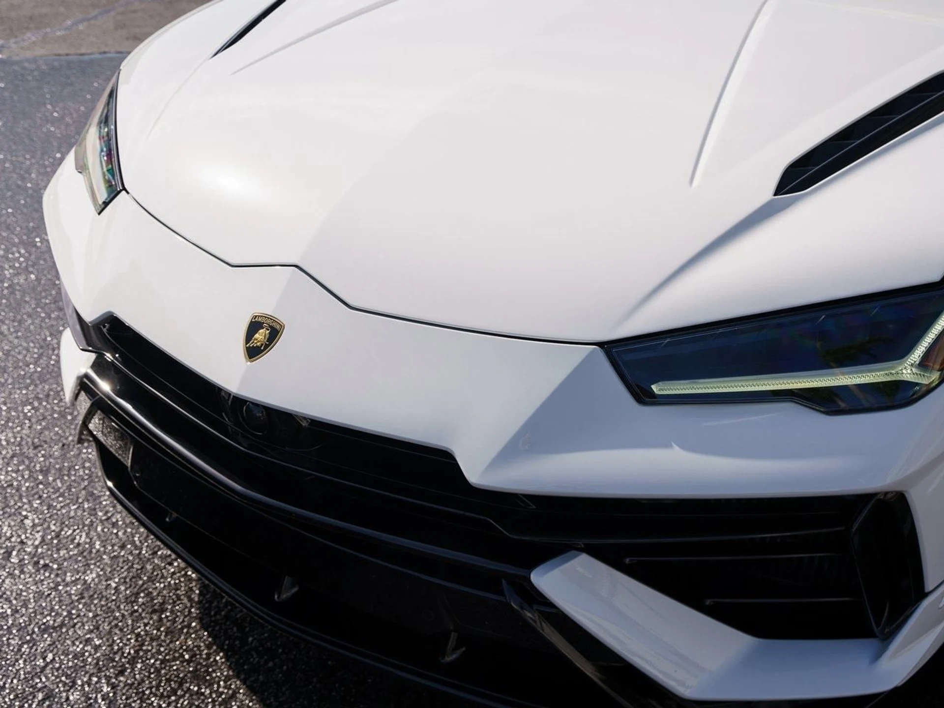 mph030_4170055482_b5972b51c90f083037be8185f55e5d40x_5630ba7865