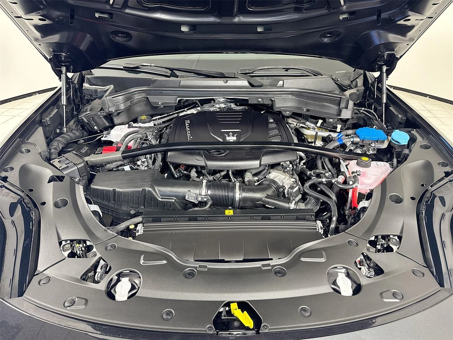 mph030_735676947_06c79306e84c0a89850ef4805325b3b0x_16f9e885c8