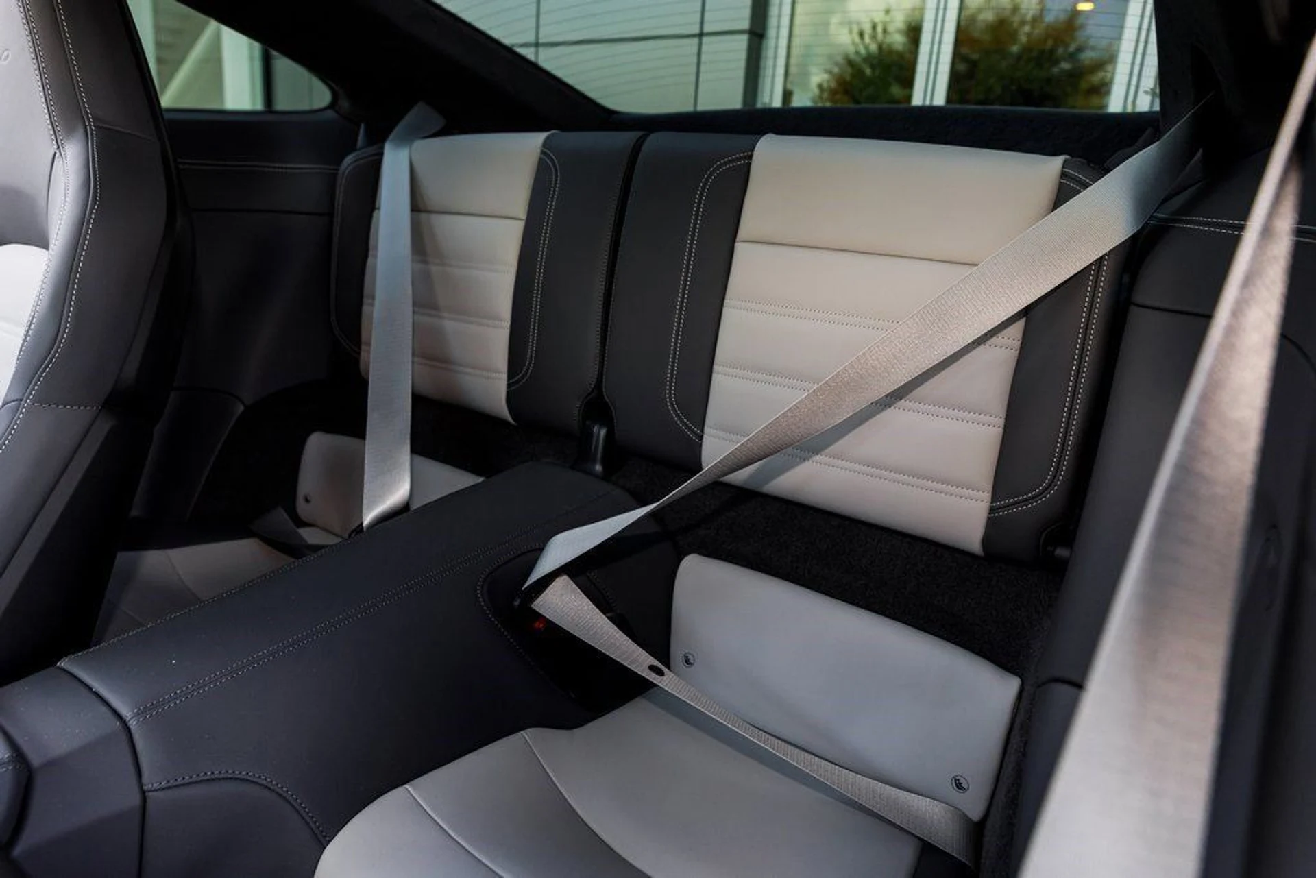 mph030_838168456_ff88f2bdd37b2aea8500b333d995e5fa_4cd407ed9a