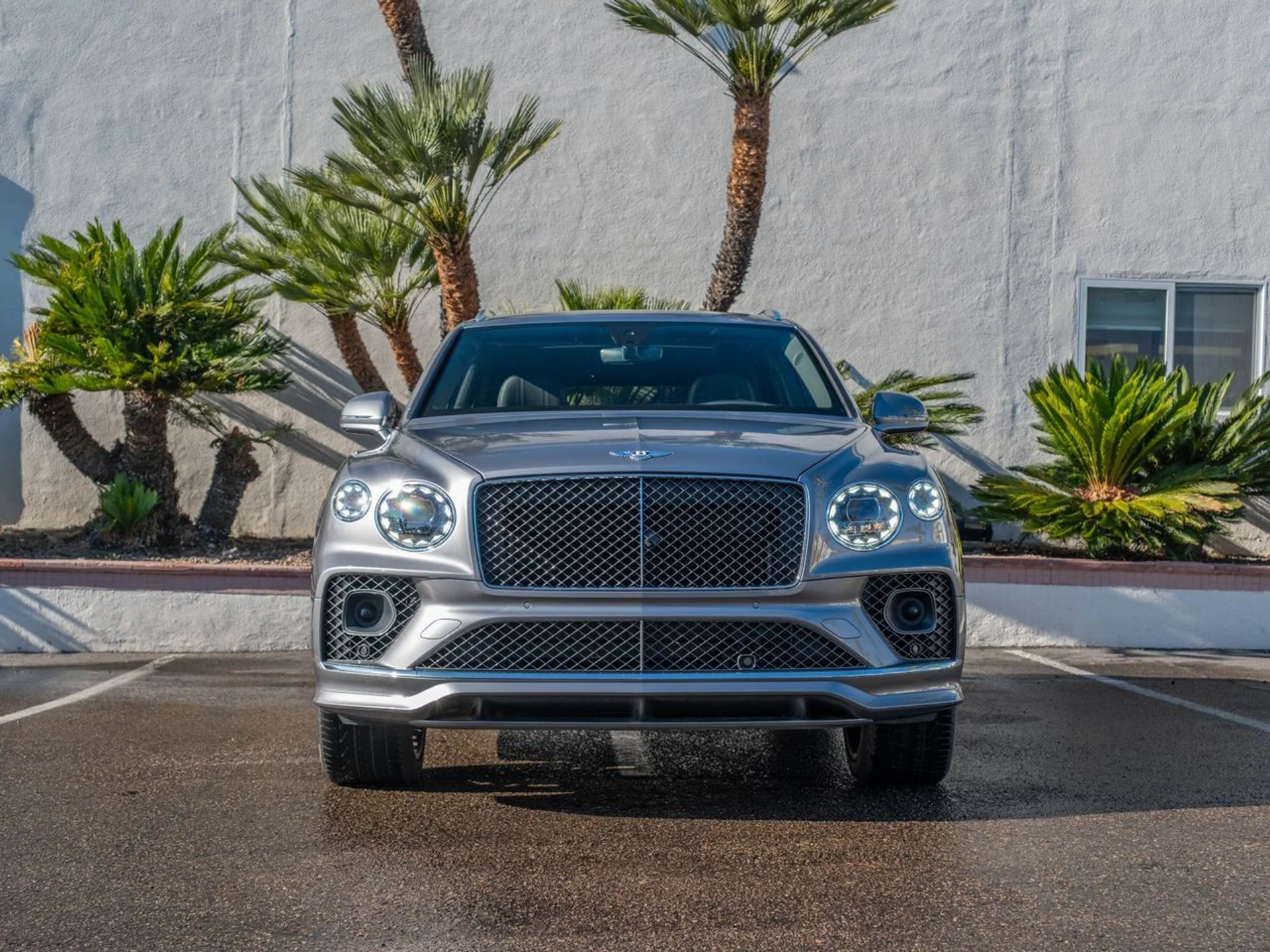 mph030_917818247_9fc7c55cbb612fdd25bcefdf3387aae9x_fbe1db375d