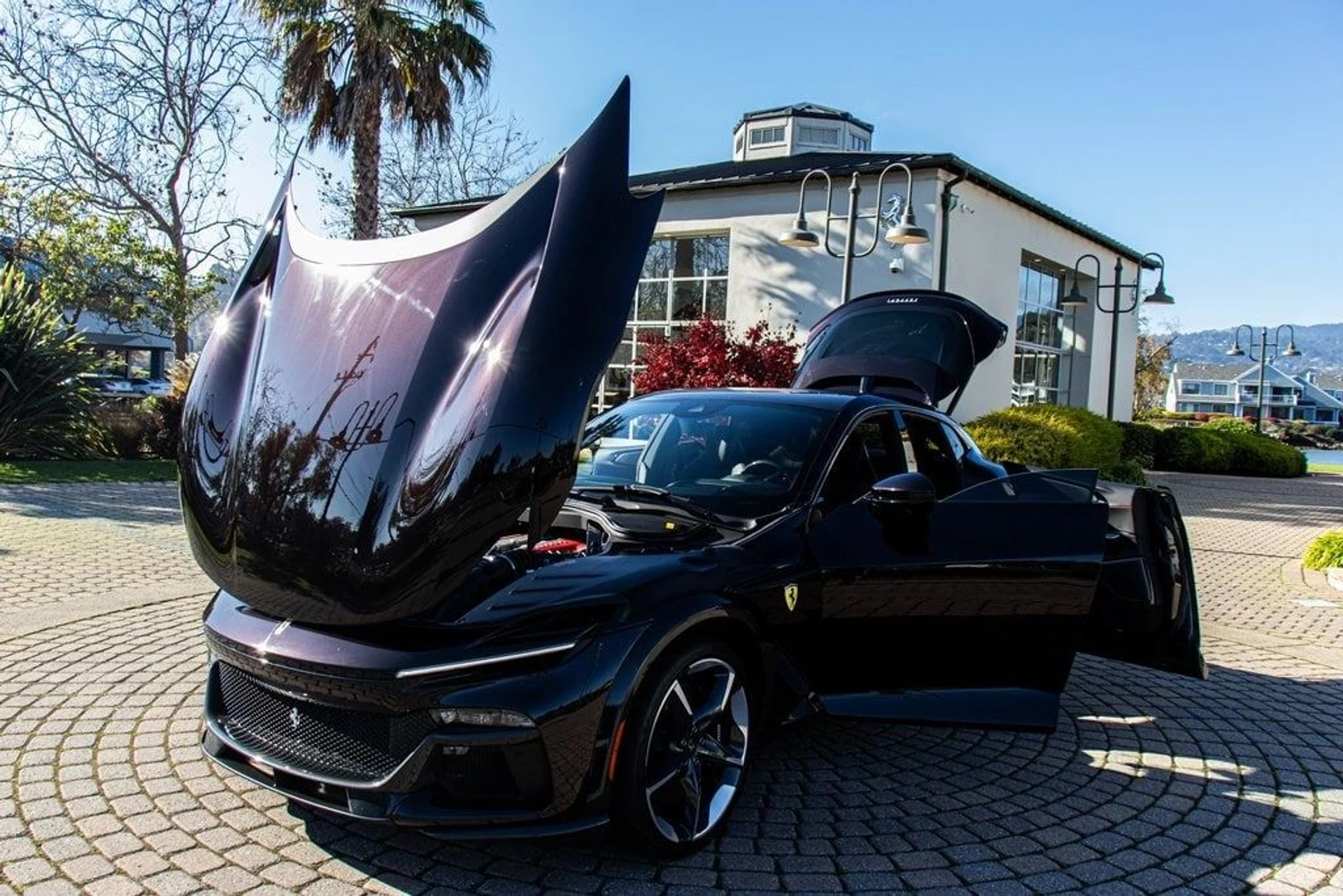 mph031_1017089858_893bcc3a0ac2d8314c5e2859200c9162x_75eaad6b21