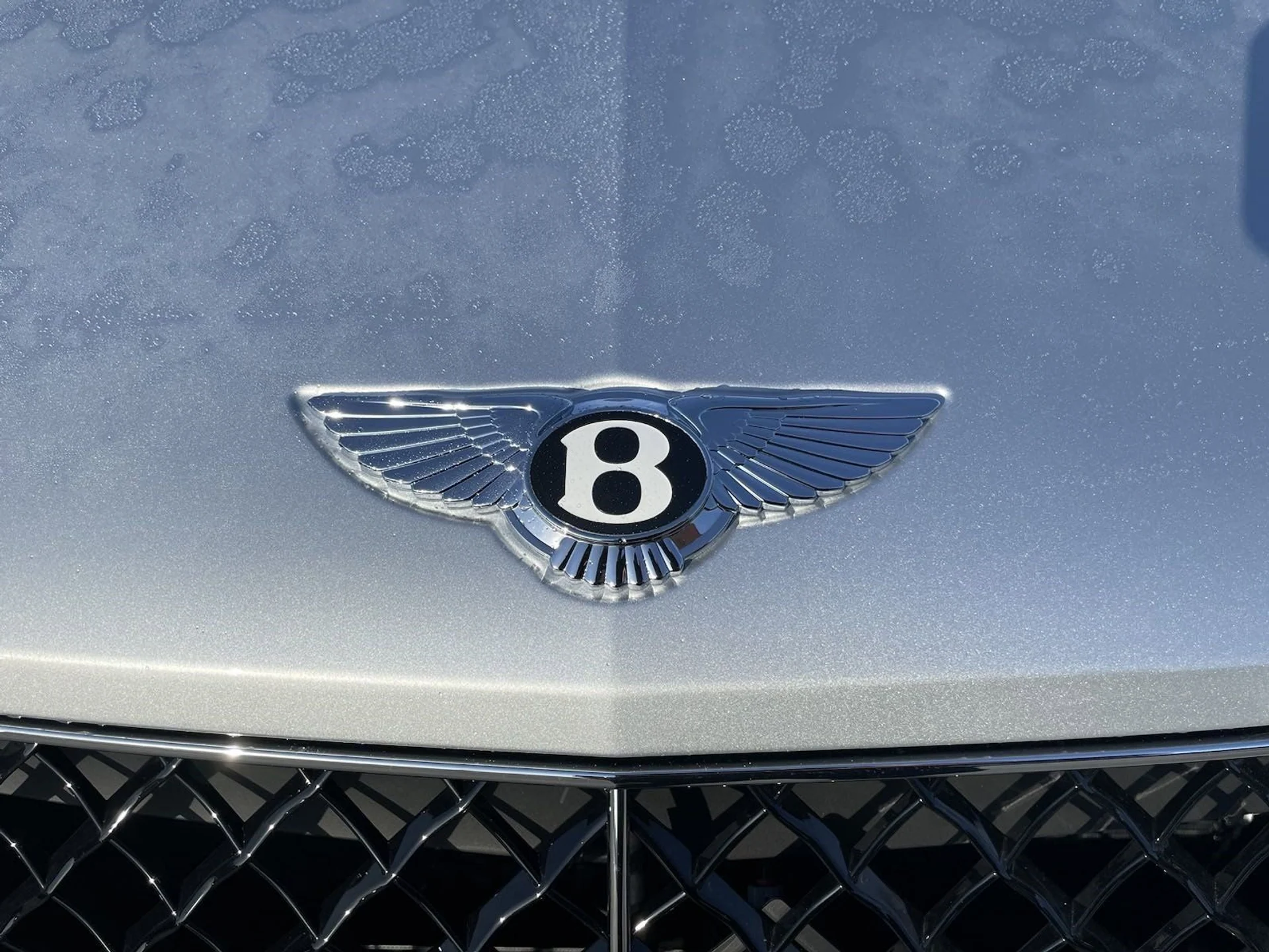 mph031_1090333745_e5dced7d3d1711ab92fd2f6e37907023x_62a23af540