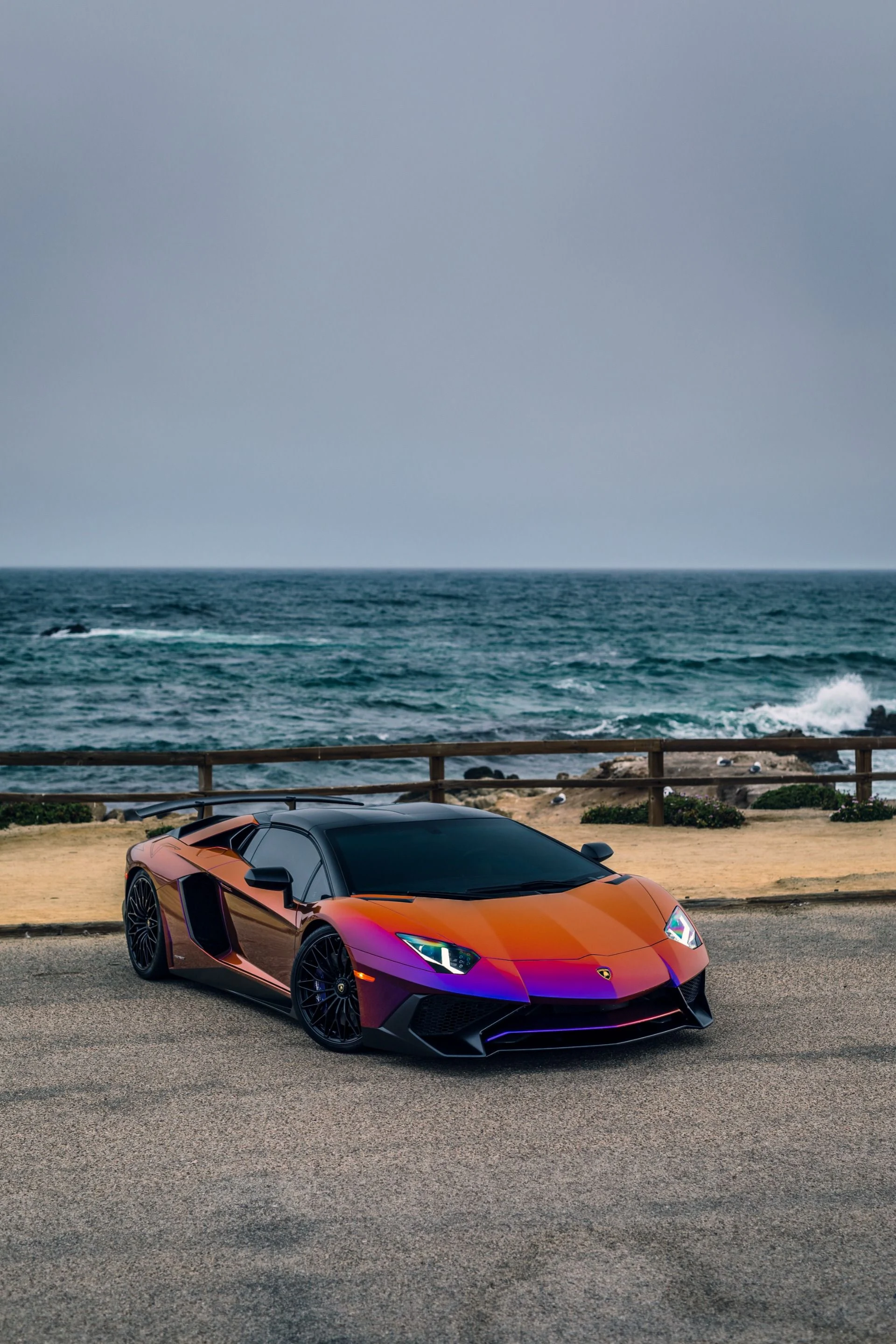 mph031_1155587206_8742_p32_l_255dfc1a21