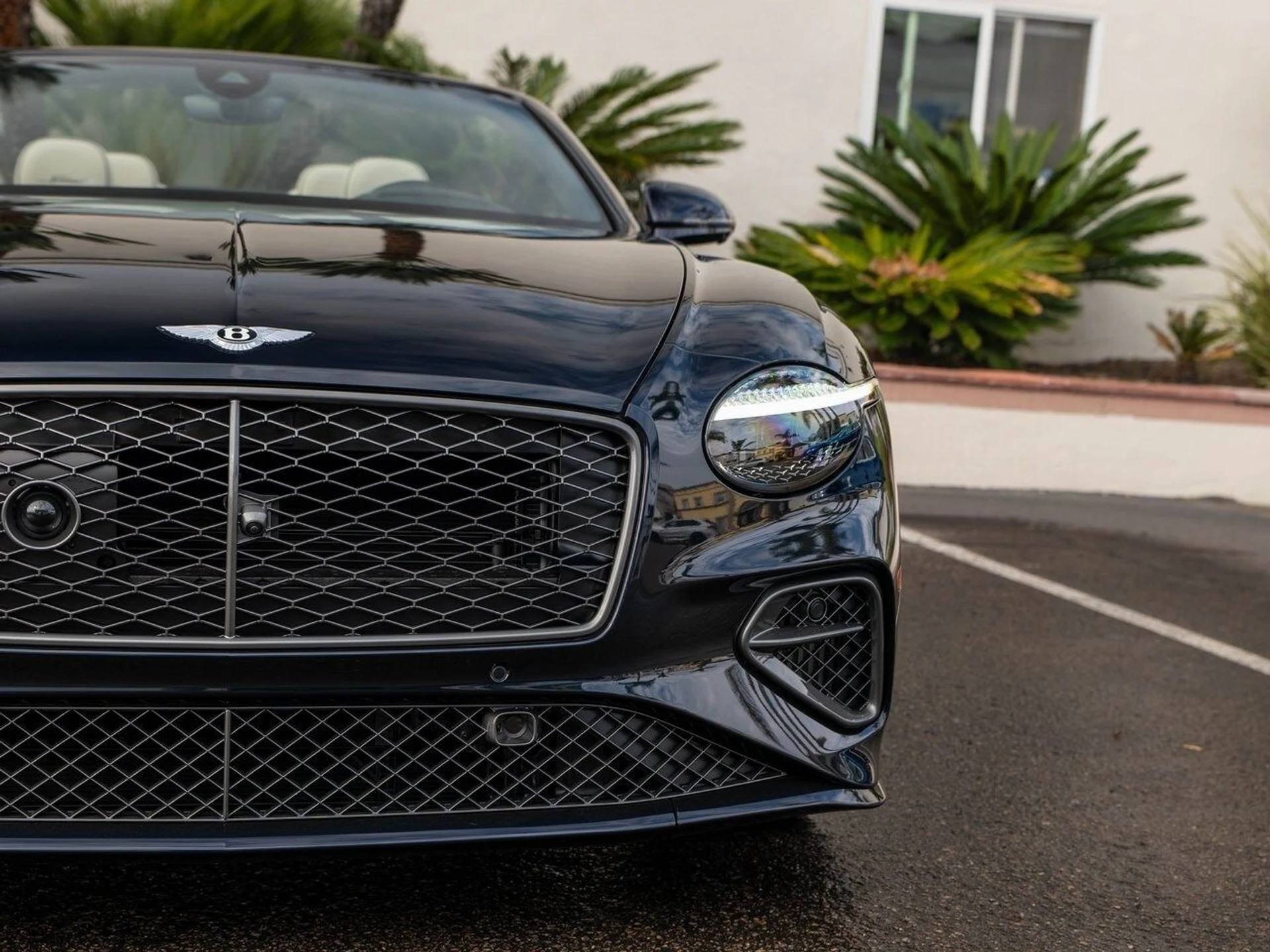 mph031_133071197_79896b61102bdbea6553ef718a9e0249x_ec6eb7c7a0