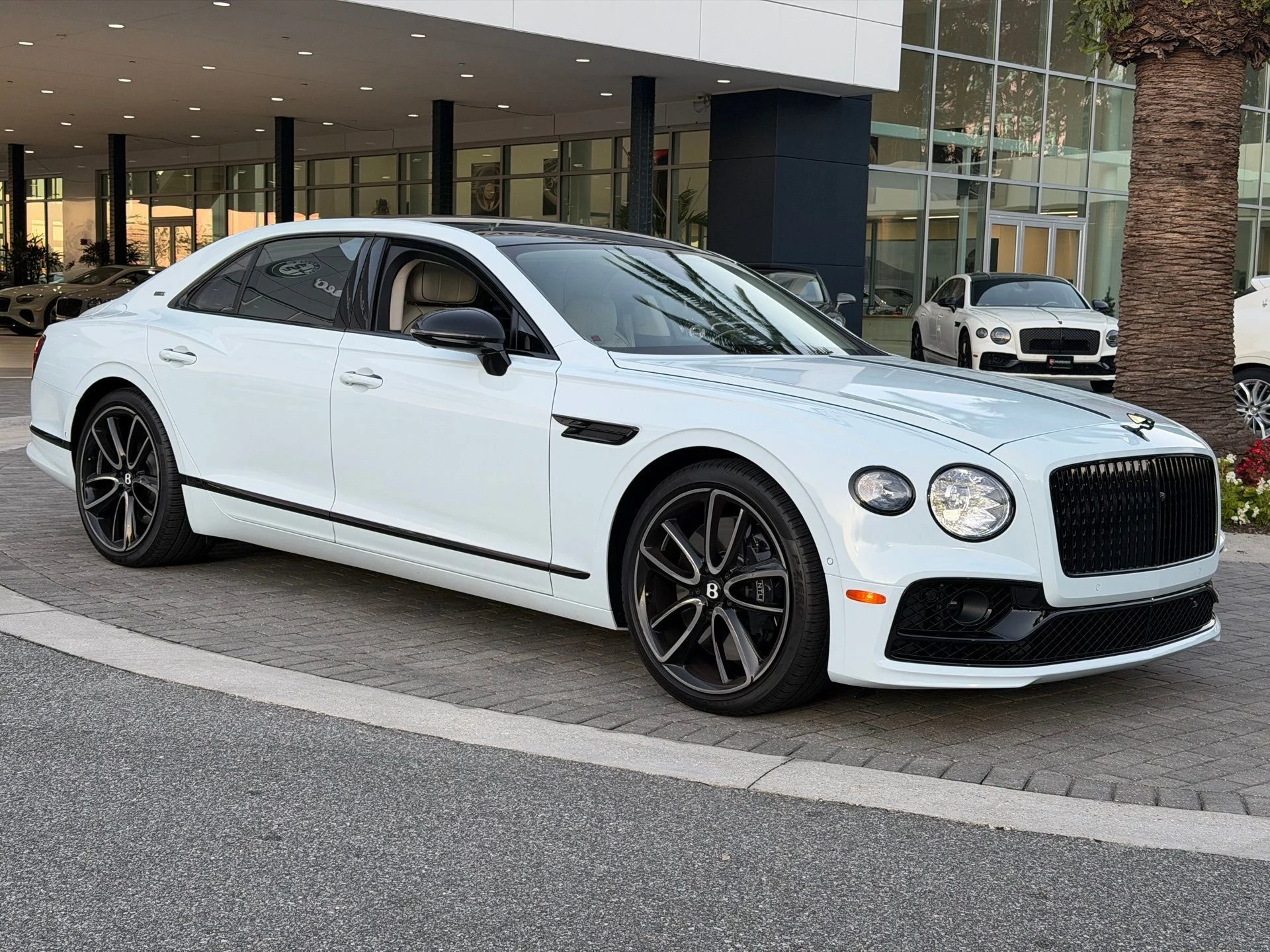 mph031_1358392648_ada484308d1e40d59db7933f3c907bc5_403076555a