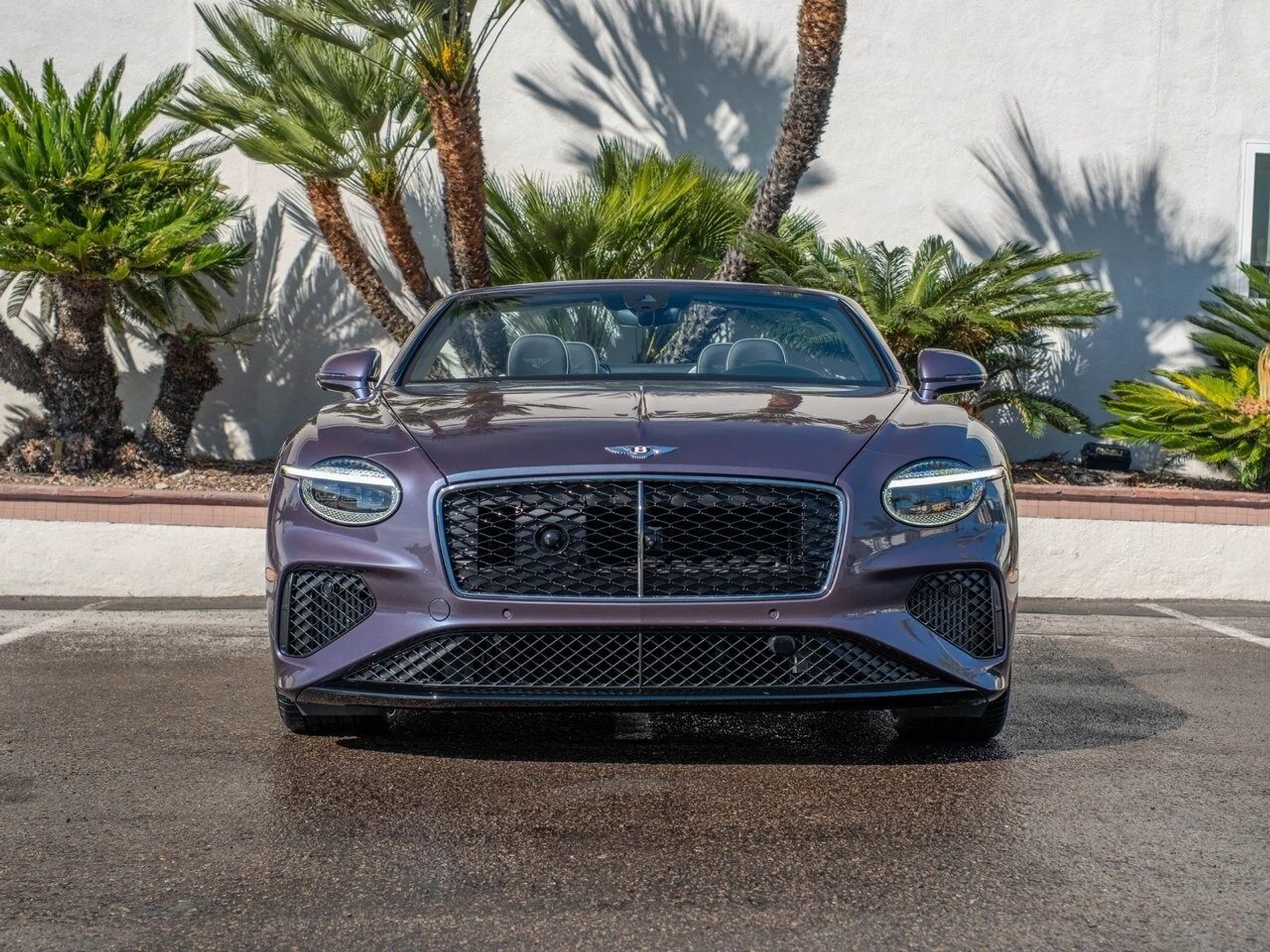 mph031_1388370832_df437bc8832868b52e5e85618978993bx_99857f796c