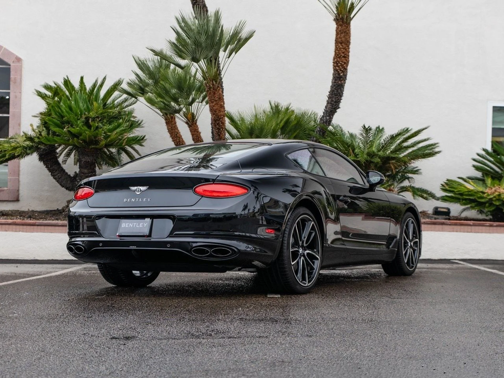 mph031_1737541187_edc9c92dc93fc1a3425a8809d3b6a281x_a51de91b94