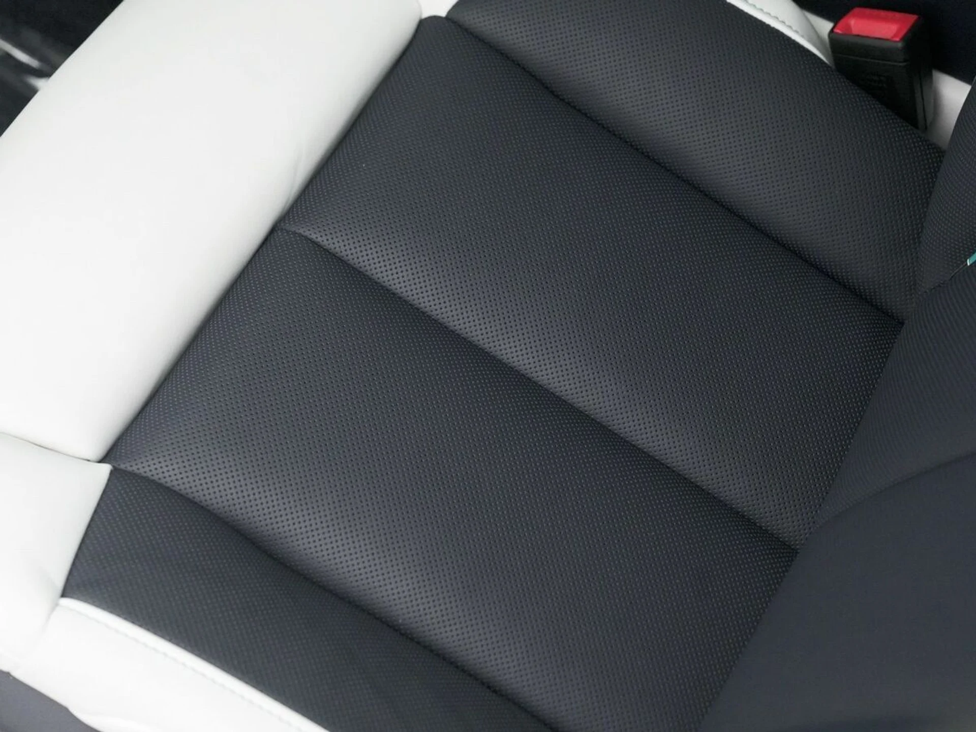 mph031_1833507992_8ltflv70gc9wpartd3w4mspz866d_37f3092556